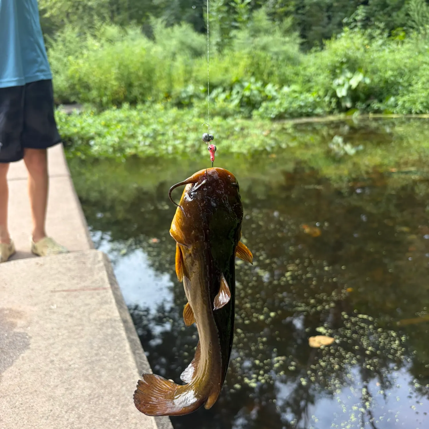 catch