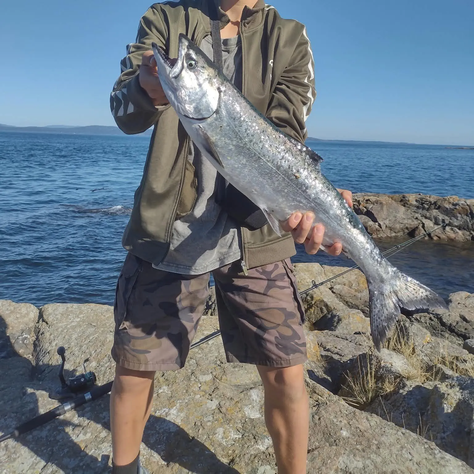 Chinook salmon caught on Fishbrain