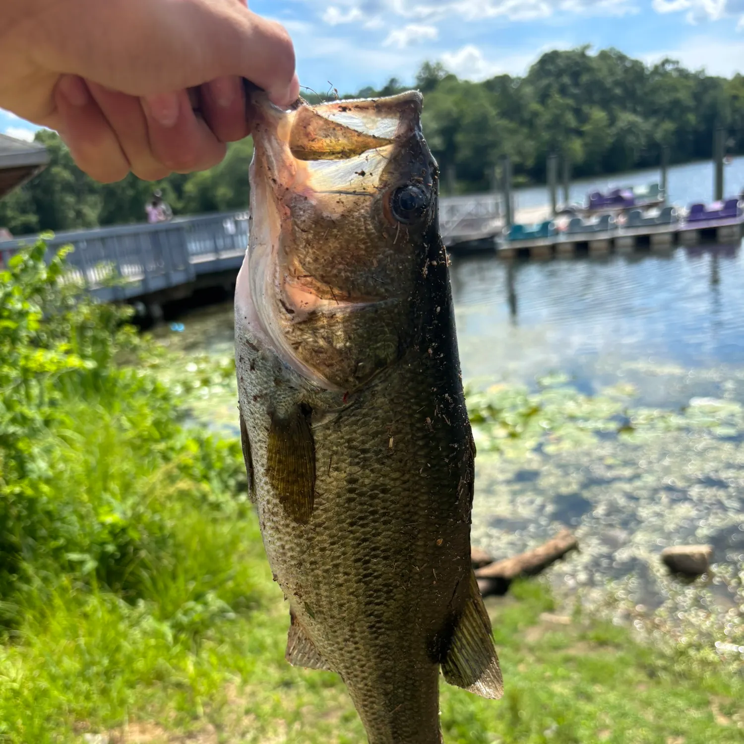 catch