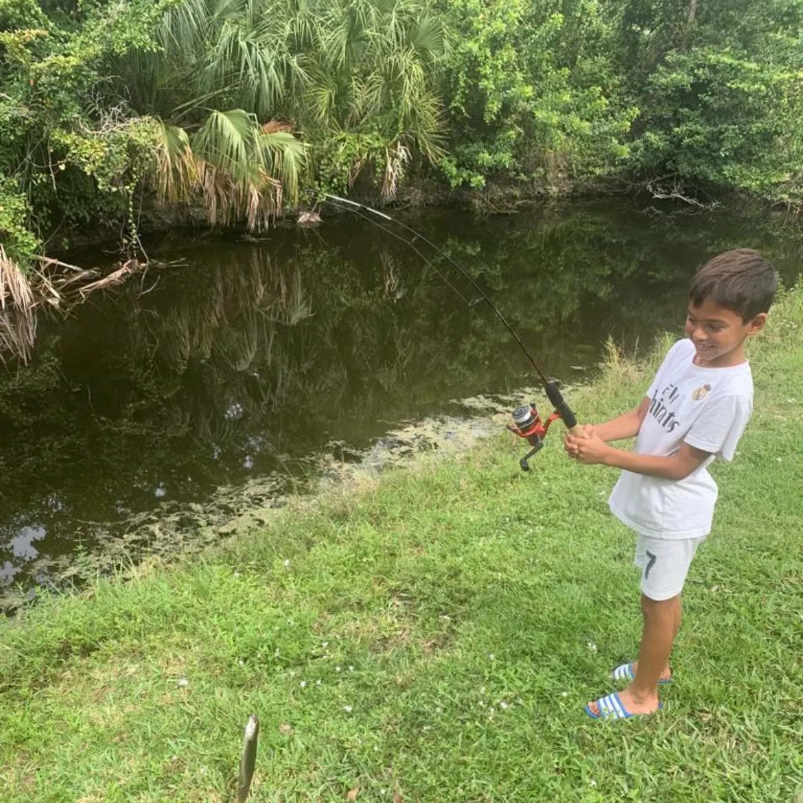 The most recent Small snakehead catches on Fishbrain