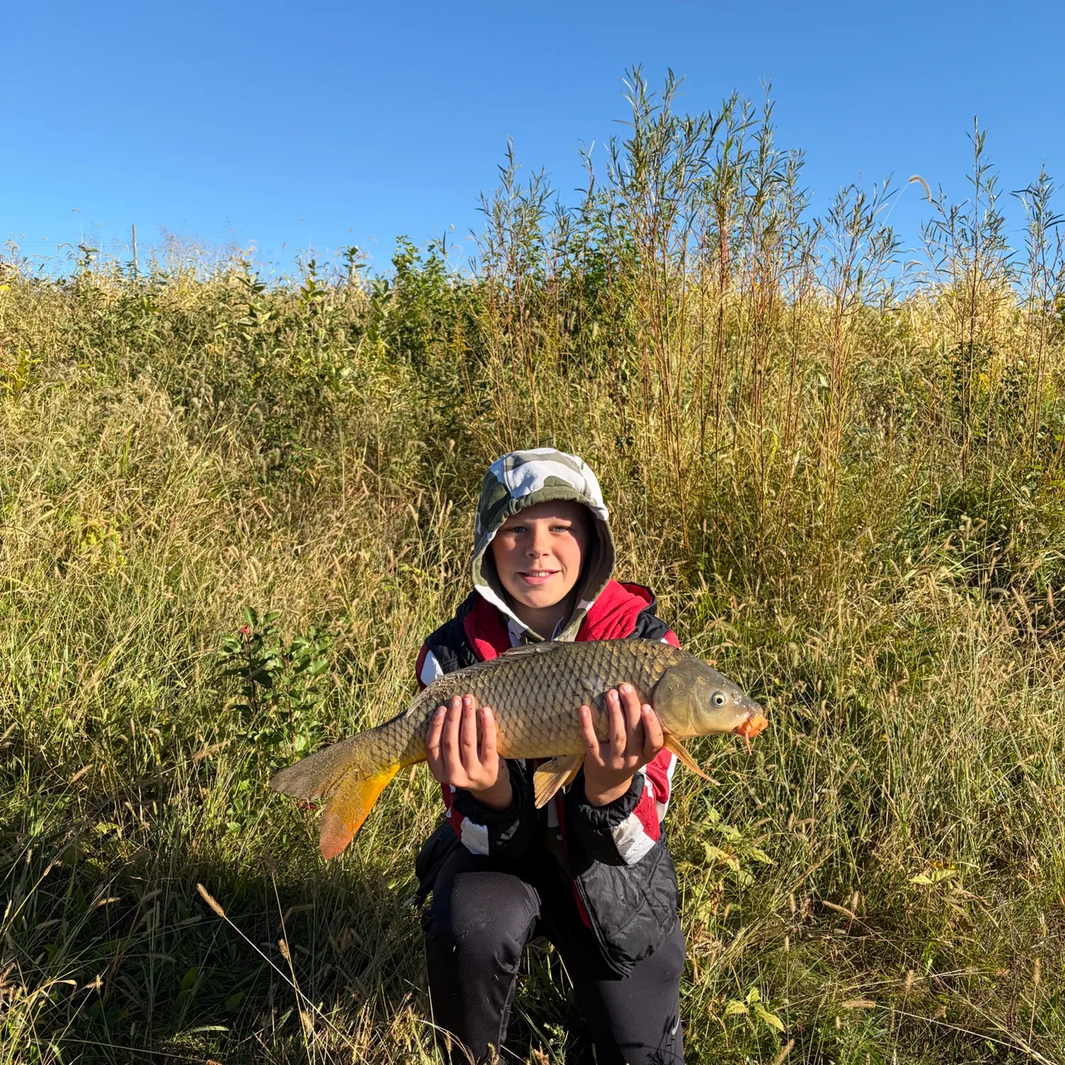 Common carp caught on Fishbrain