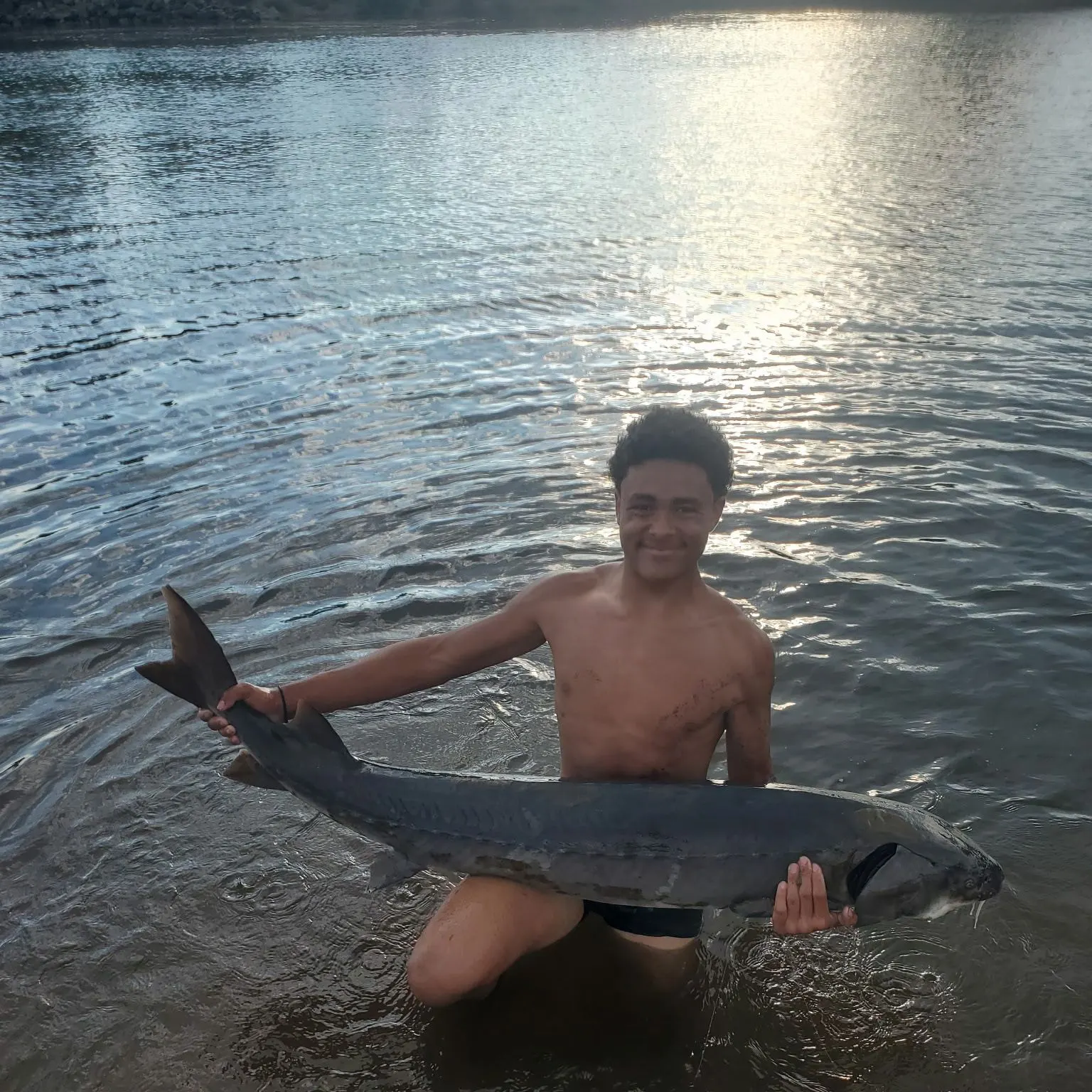 Lake sturgeon caught on Fishbrain