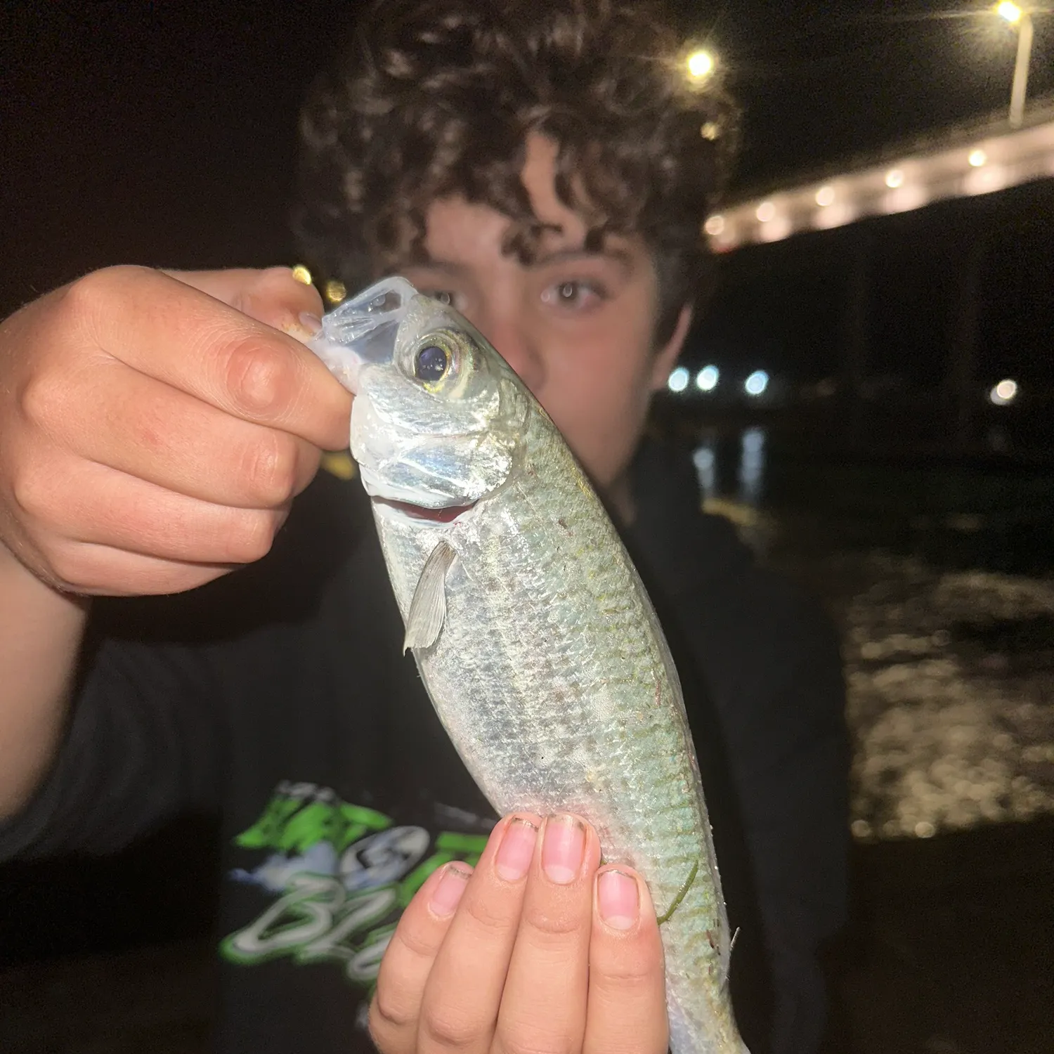 The most recent Australian ruff catches on Fishbrain