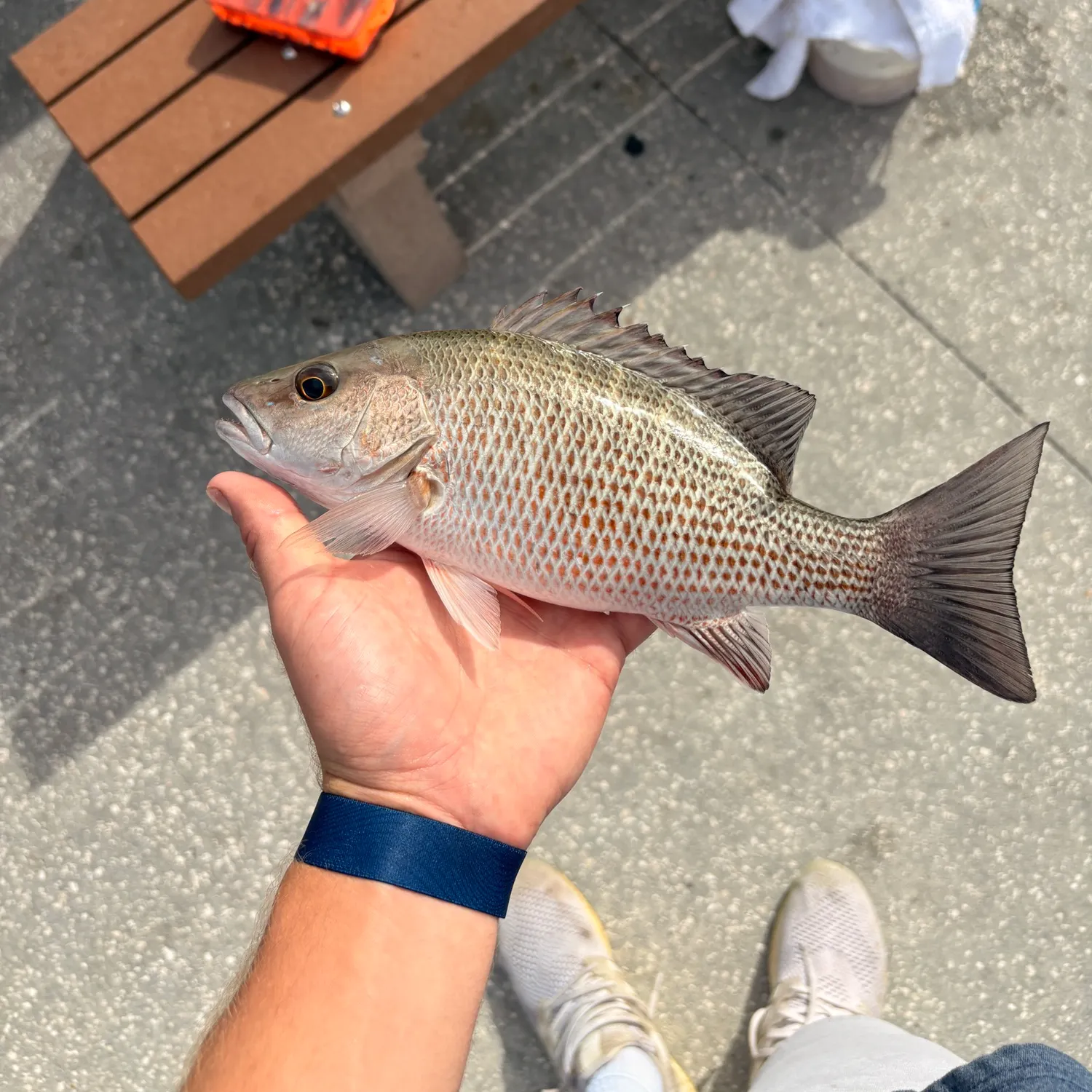 catch