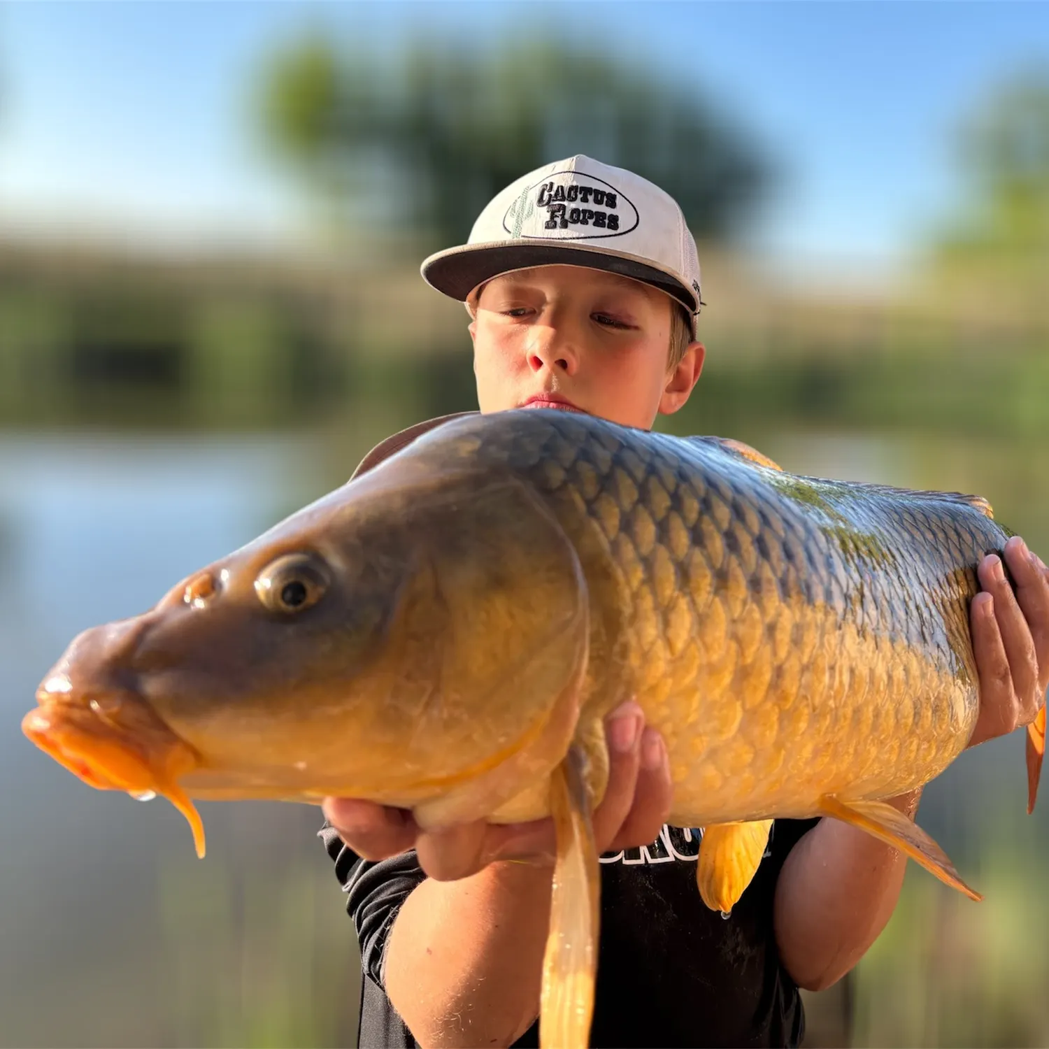 most liked catch image