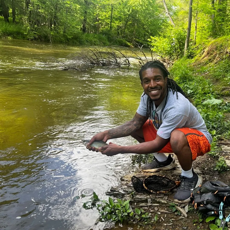 The most recent Brook trout catches on Fishbrain
