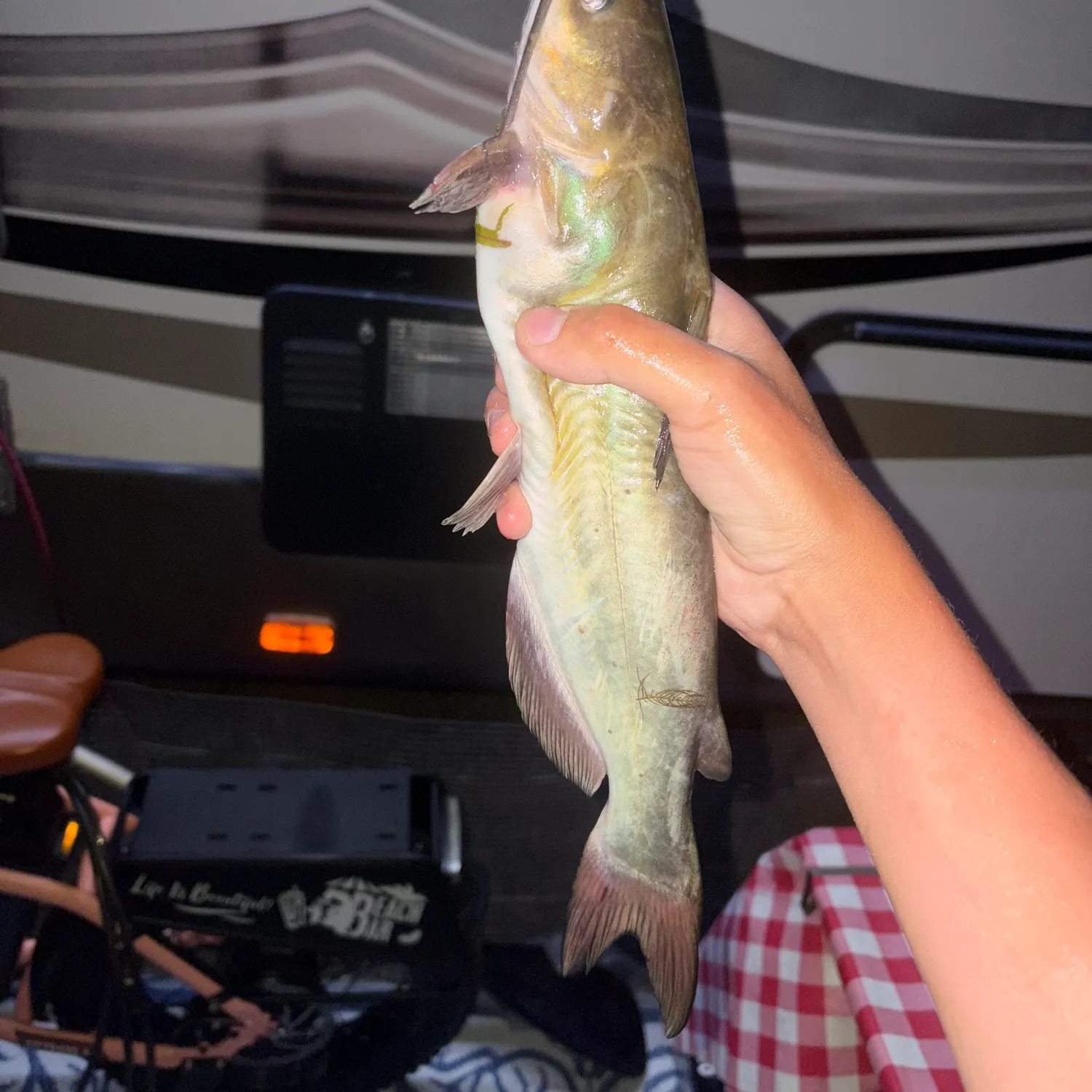 catch