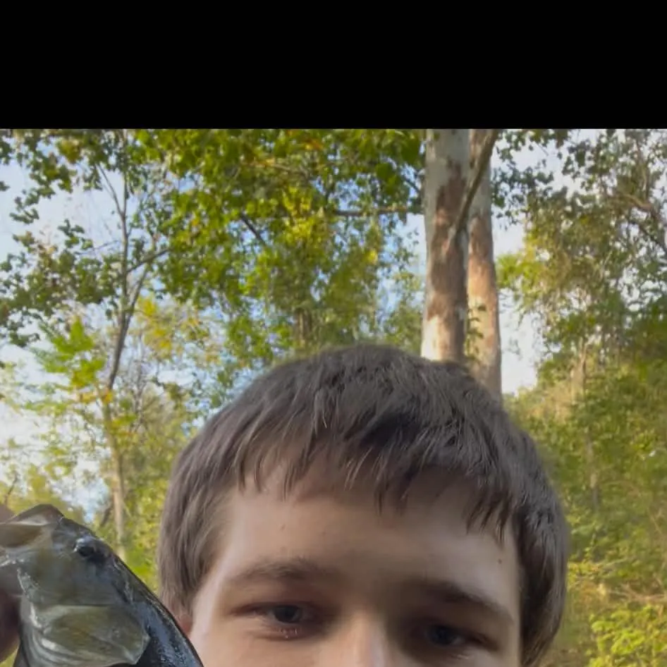 Smallmouth bass caught on Fishbrain