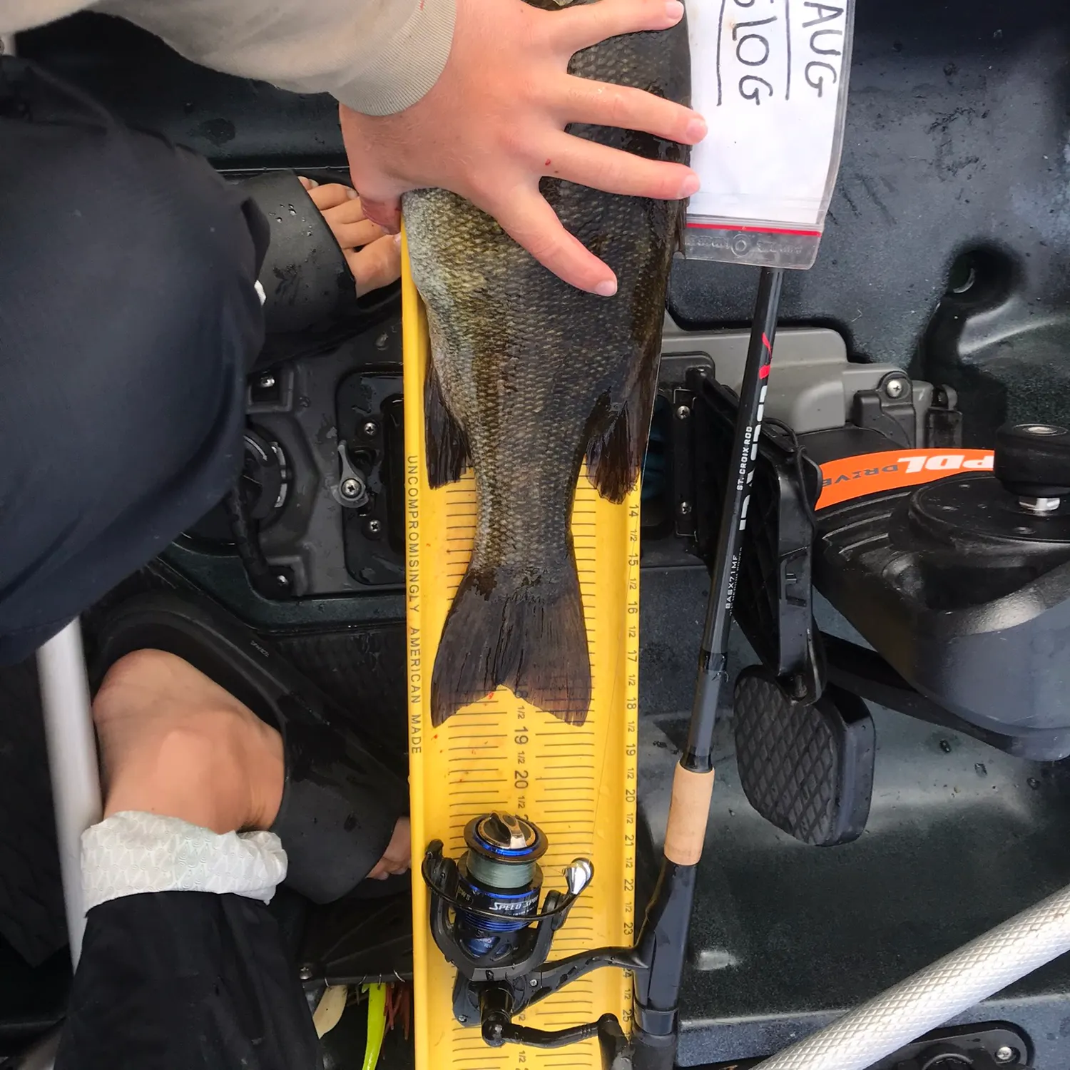 Fish caught on Fishbrain