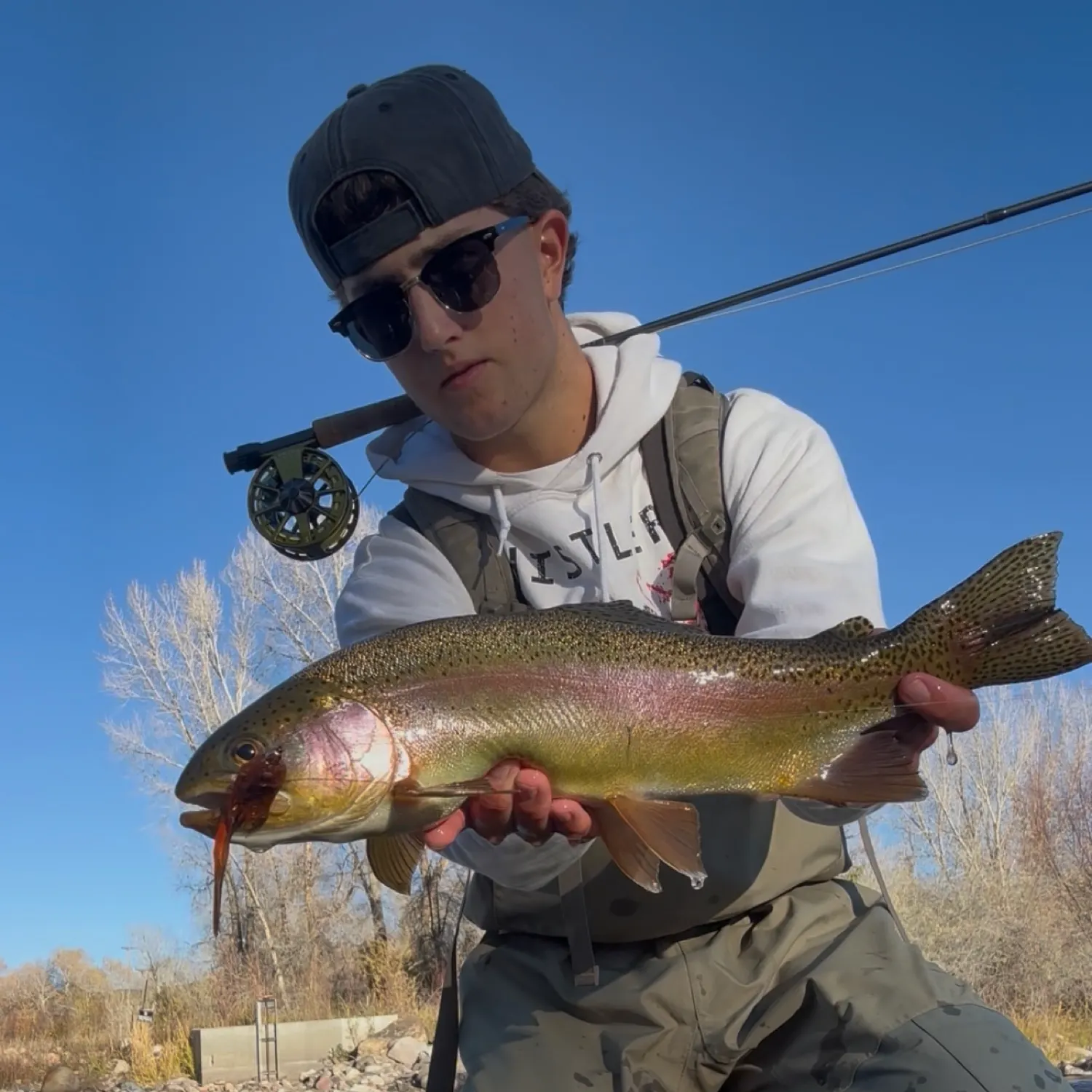 The most recent Rainbow trout catches on Fishbrain