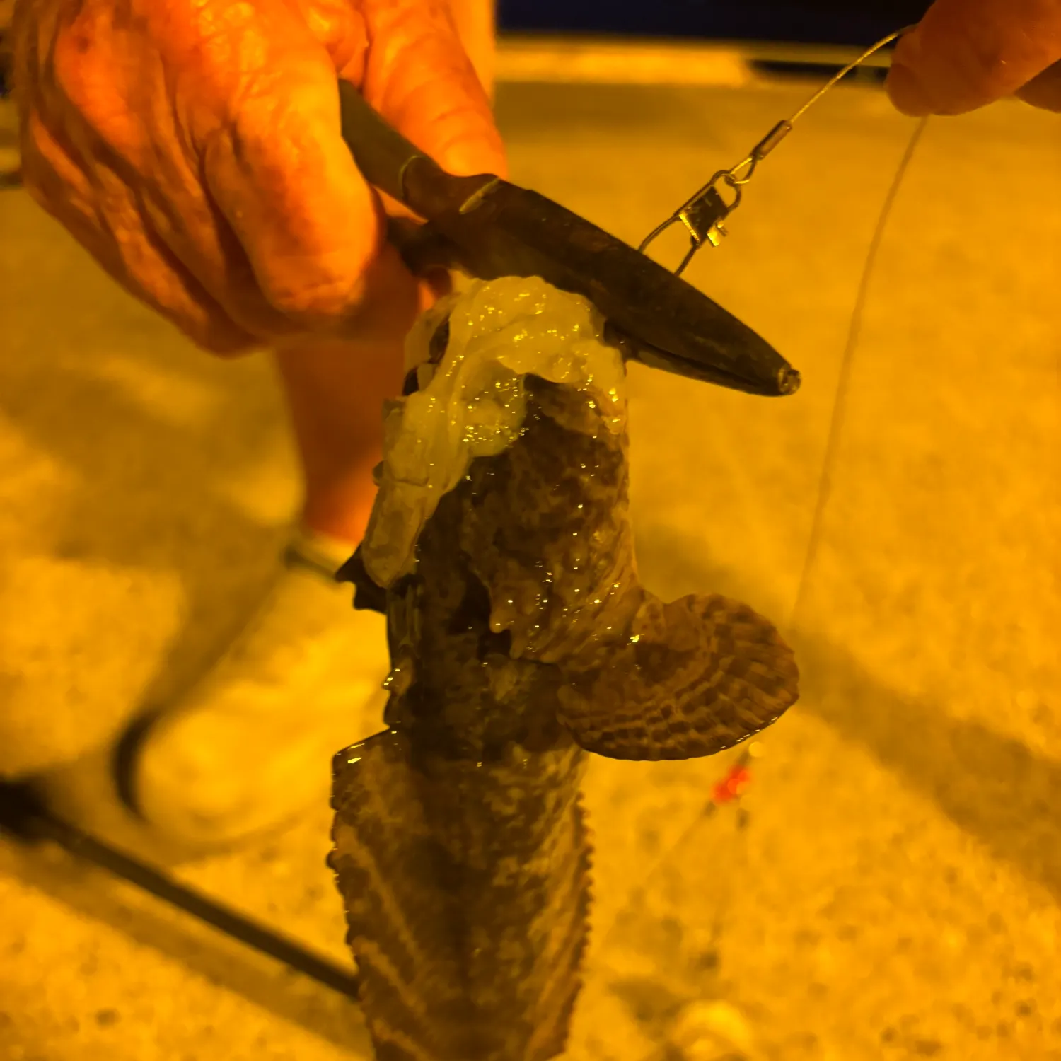 catch