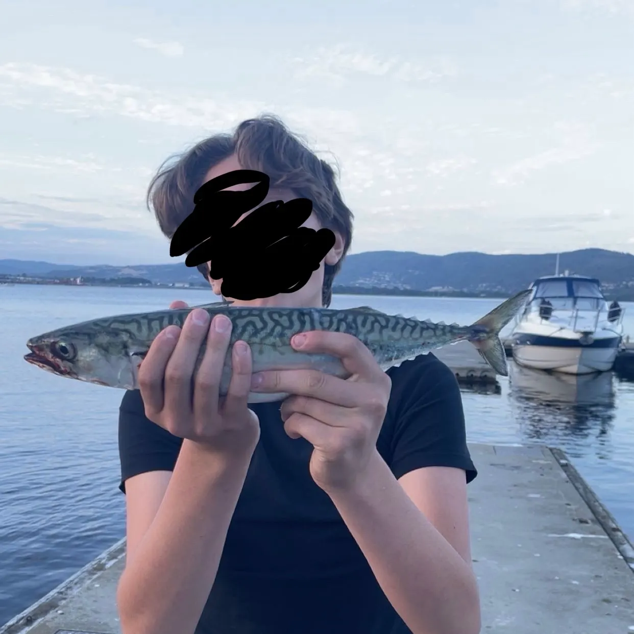 Atlantic mackerel caught on Fishbrain