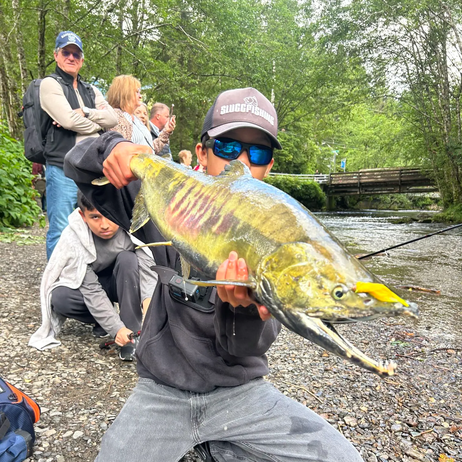 Chum salmon caught on Fishbrain