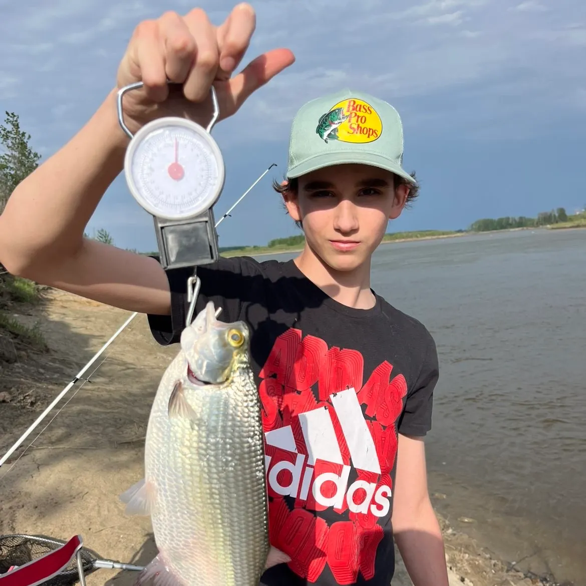 The most recent Goldeye catches on Fishbrain