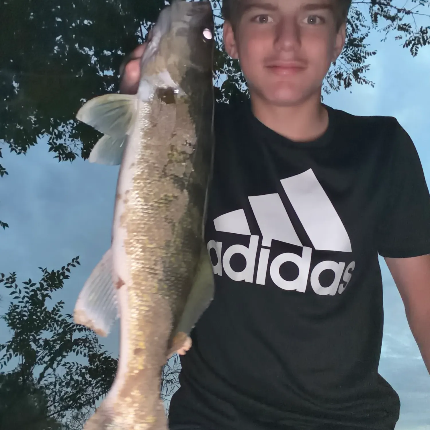 Walleye caught on Fishbrain