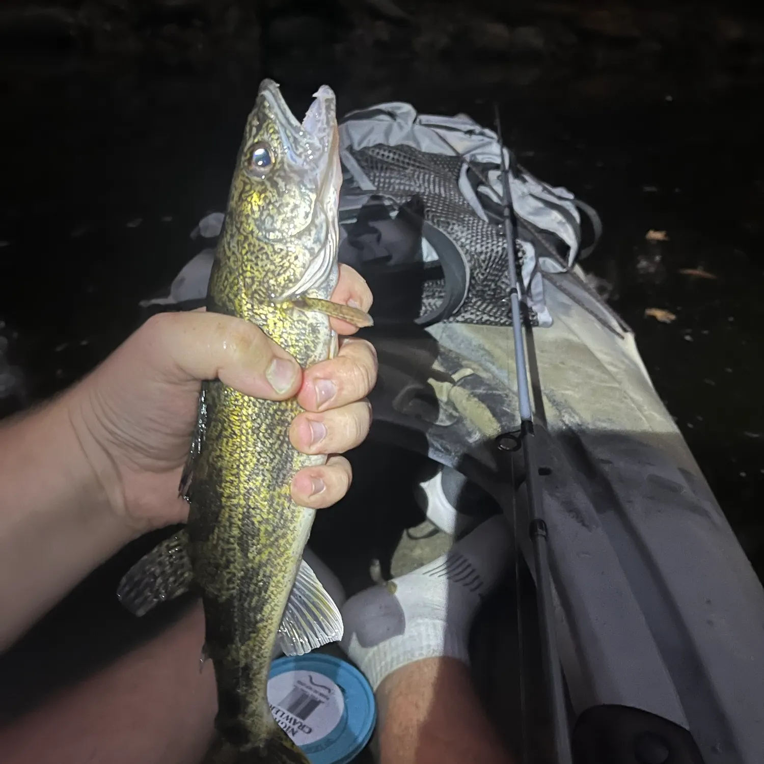Saugeye caught on Fishbrain