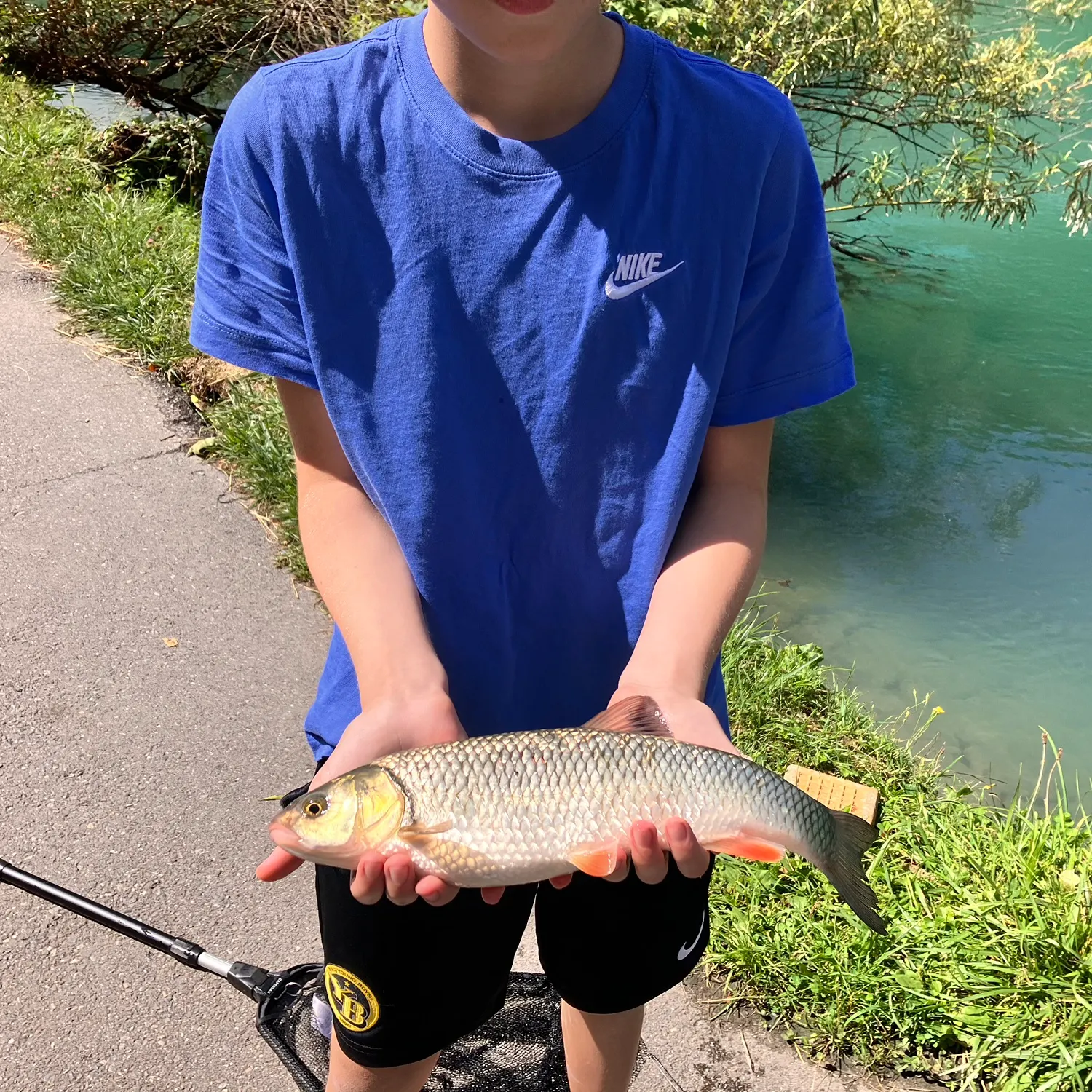 European chub caught on Fishbrain