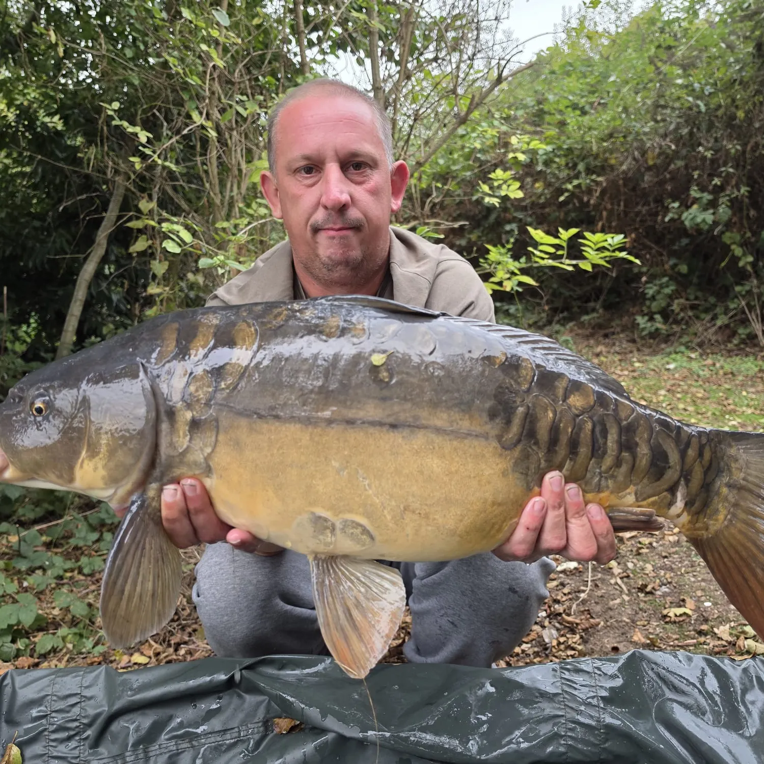 Mirror carp caught on Fishbrain
