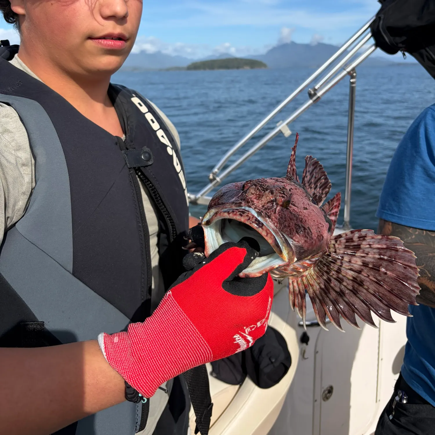 Cabezon caught on Fishbrain