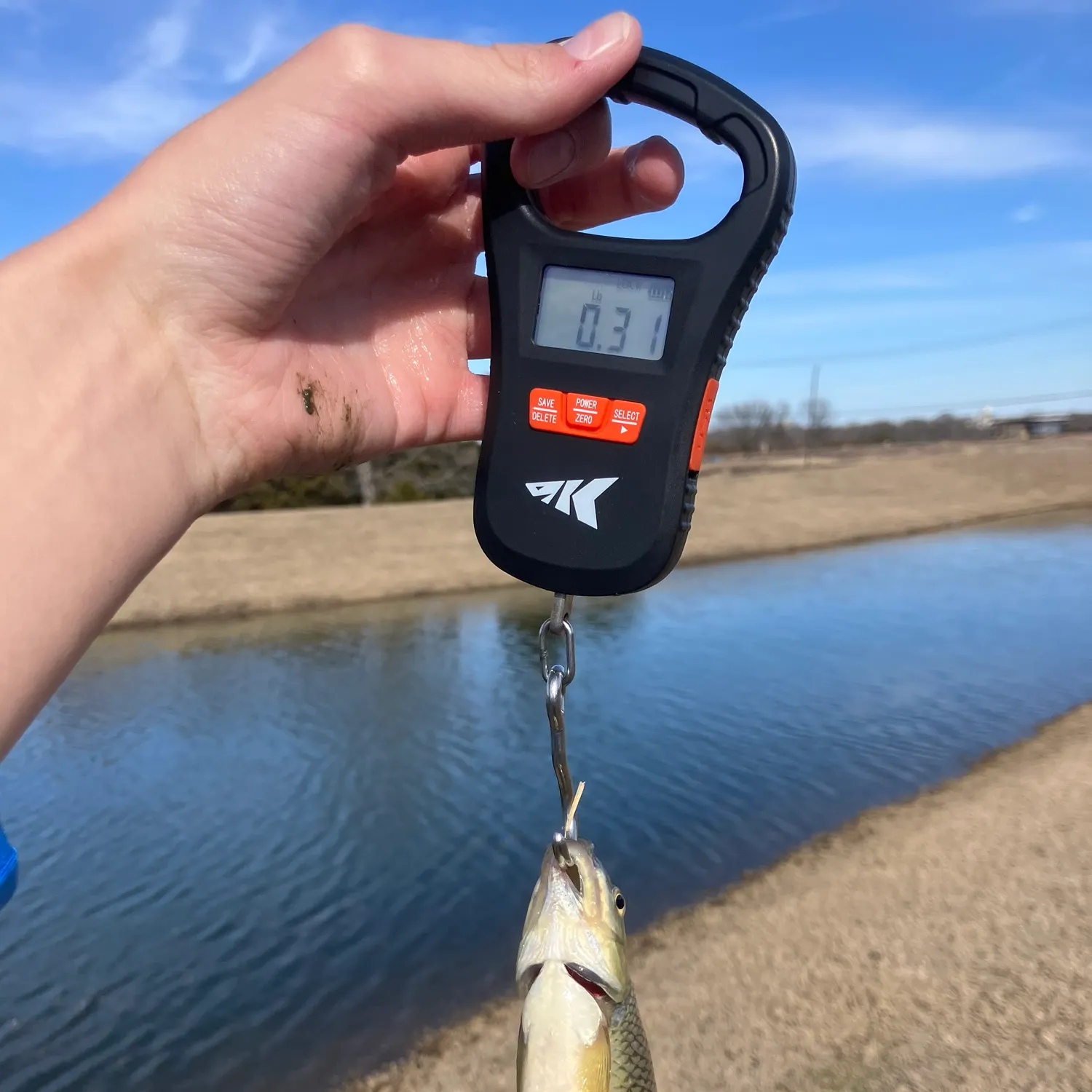 The most recent Golden shiner catches on Fishbrain