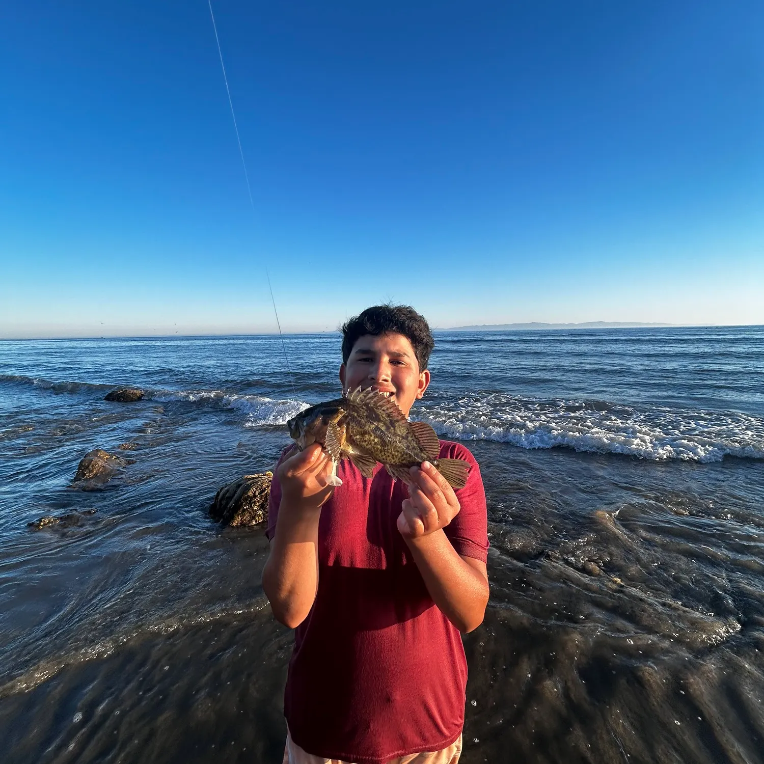 The most recent Grass rockfish catches on Fishbrain