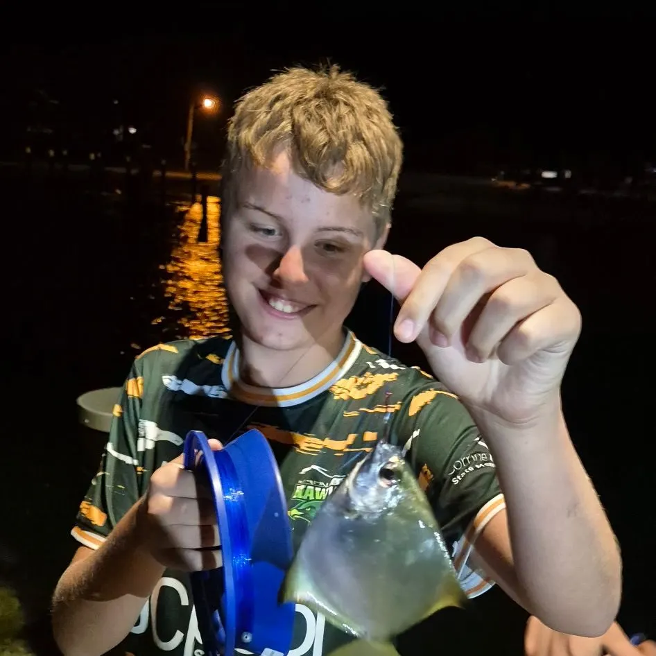 The most recent Silver moony catches on Fishbrain