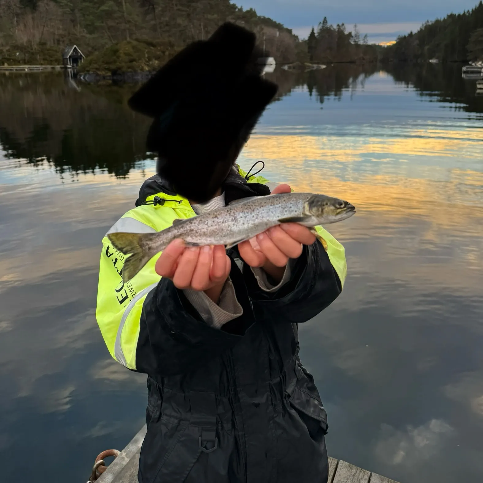 The most recent Sea trout catches on Fishbrain