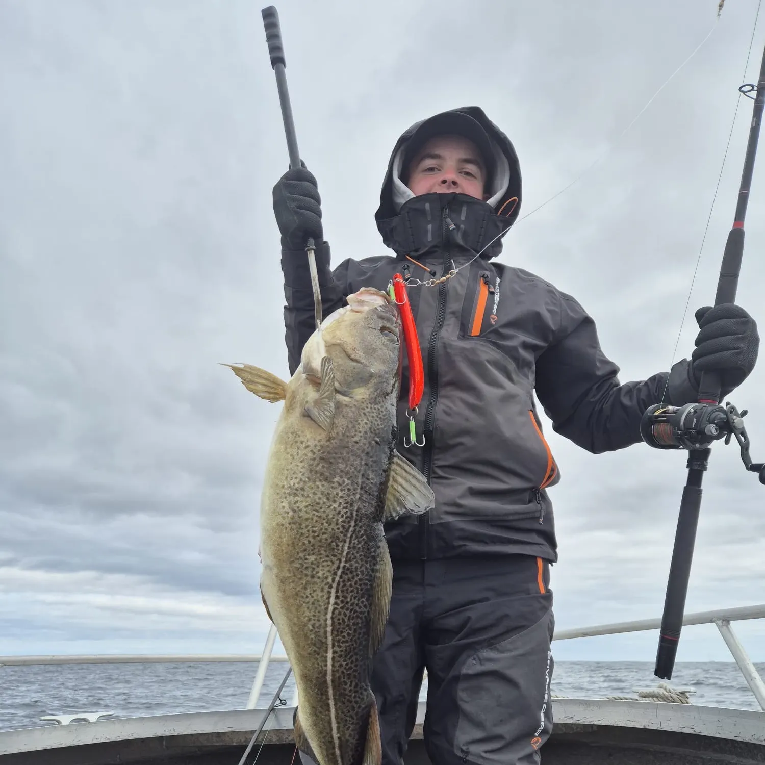 Atlantic cod caught on Fishbrain