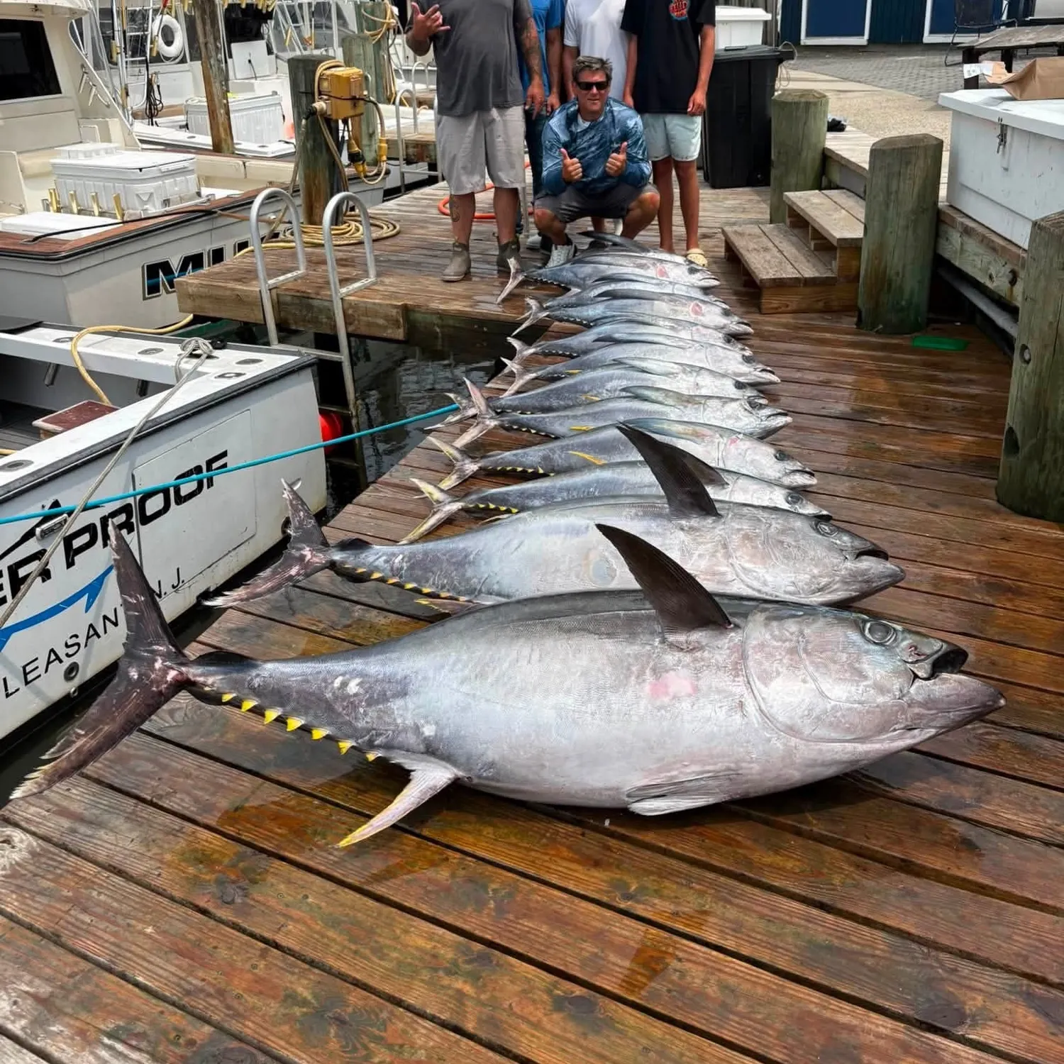 The most recent Albacore catches on Fishbrain