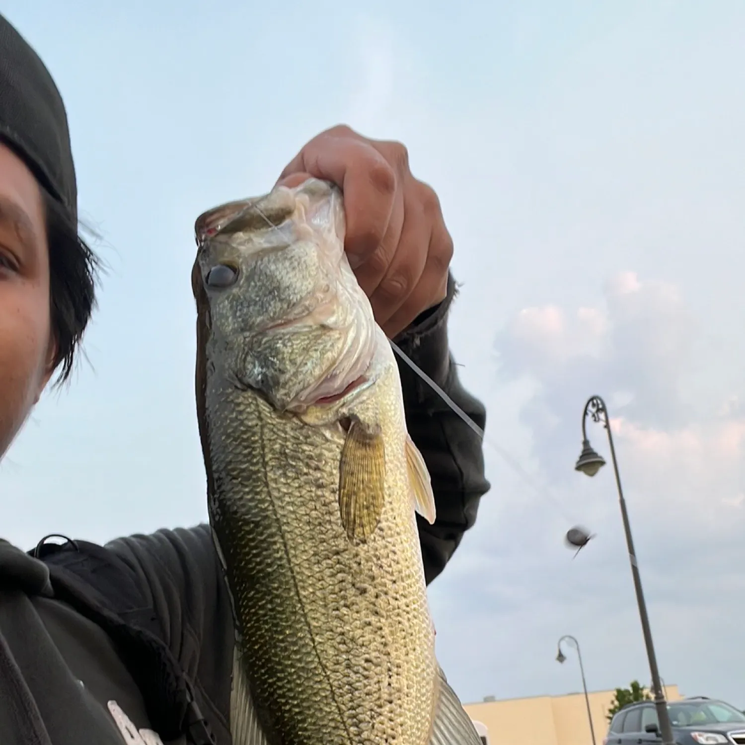 angler catch