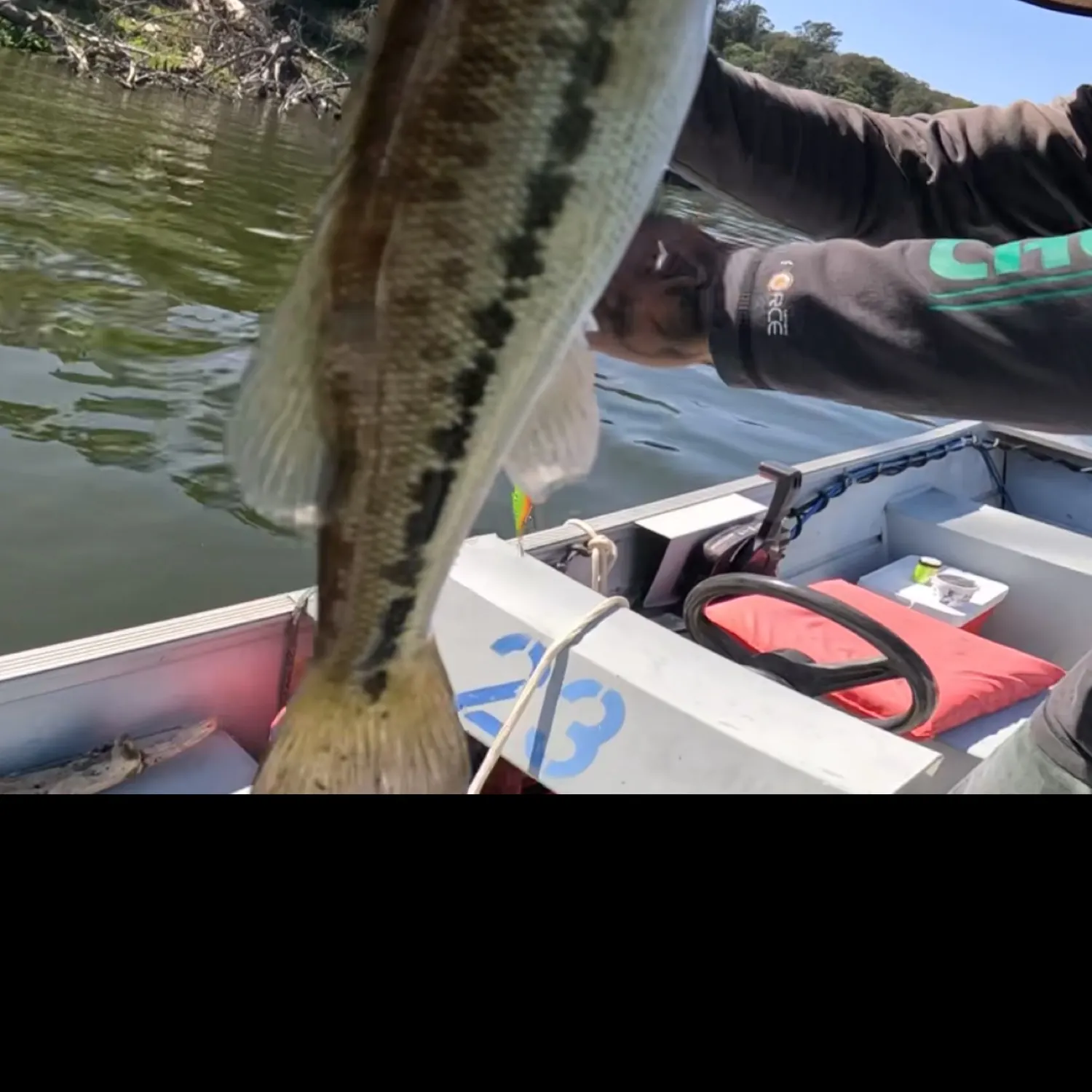 The most recent Spotted bass catches on Fishbrain