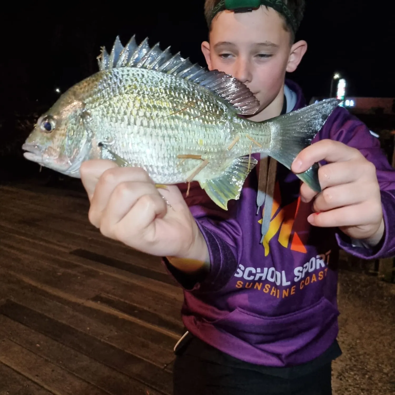 Surf bream caught on Fishbrain