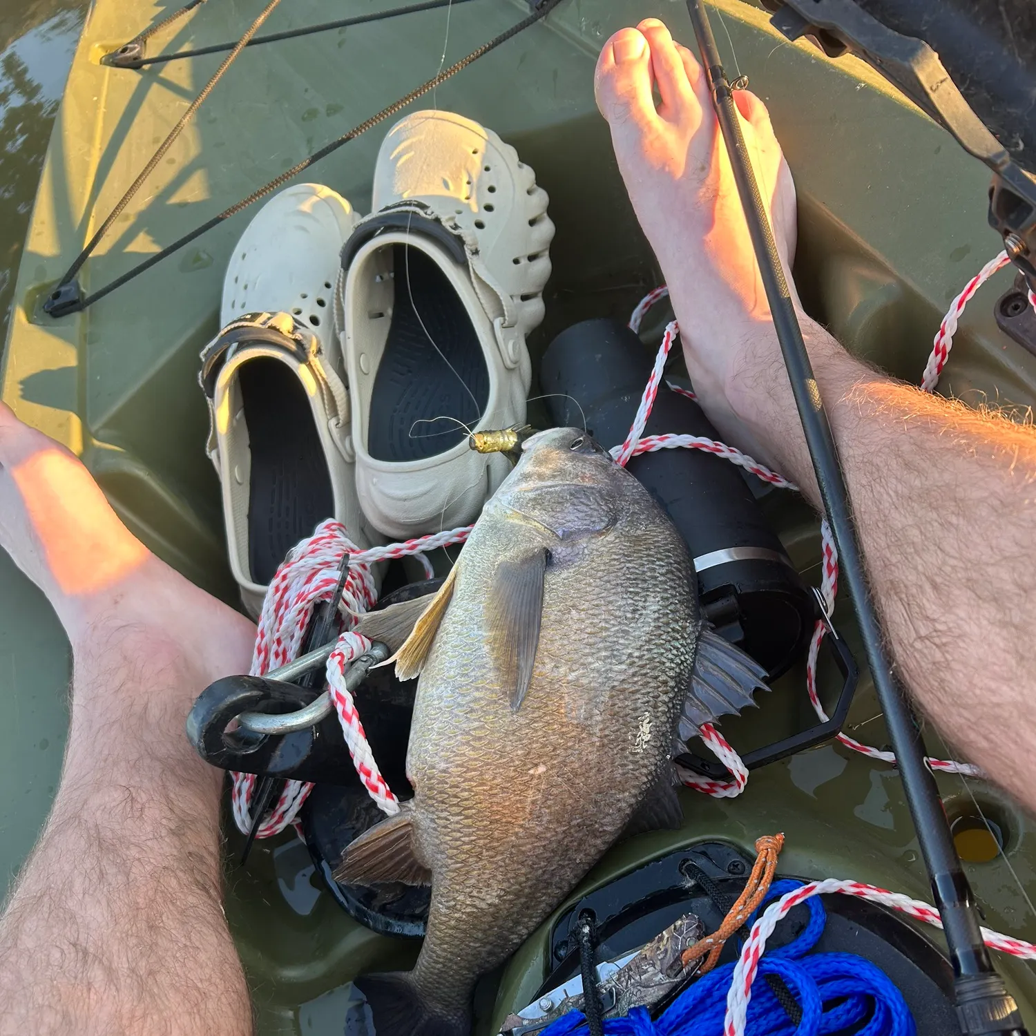 recently logged catches