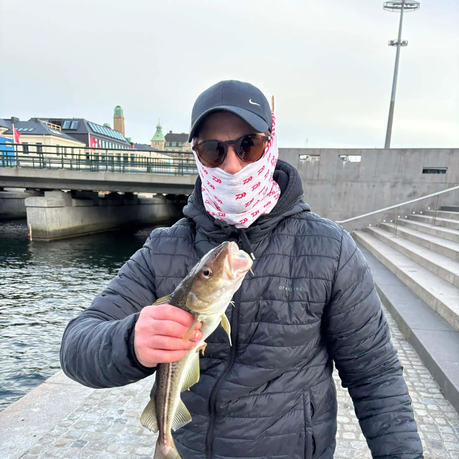 The most recent Atlantic cod catches on Fishbrain