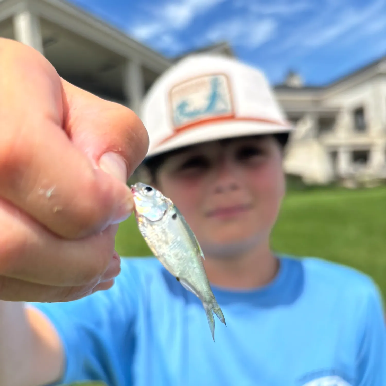 The most popular recent Threadfin shad catch on Fishbrain