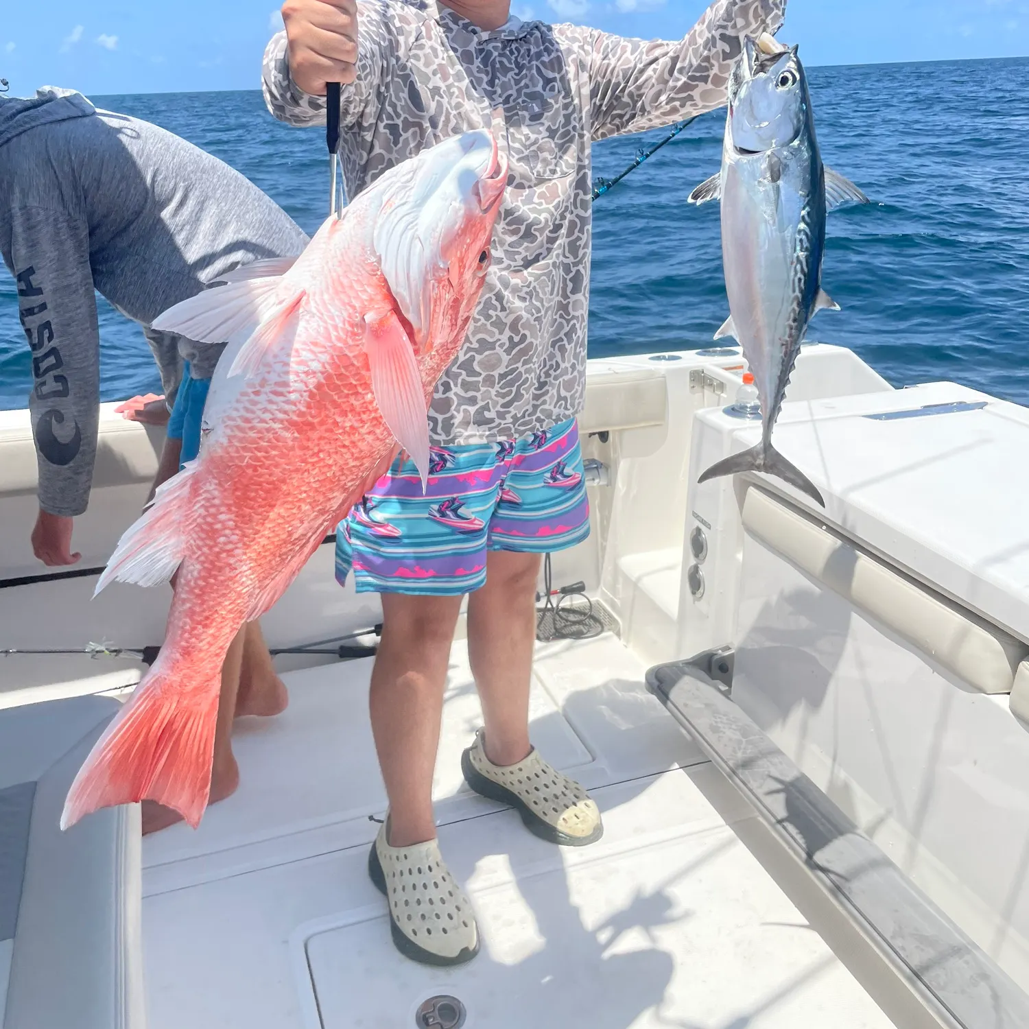 The most recent Plain bonito catches on Fishbrain
