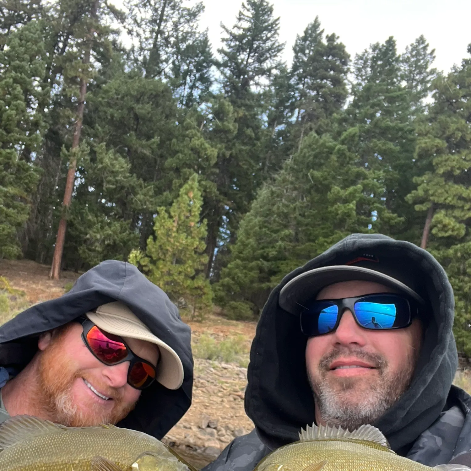 Smallmouth bass caught on Fishbrain