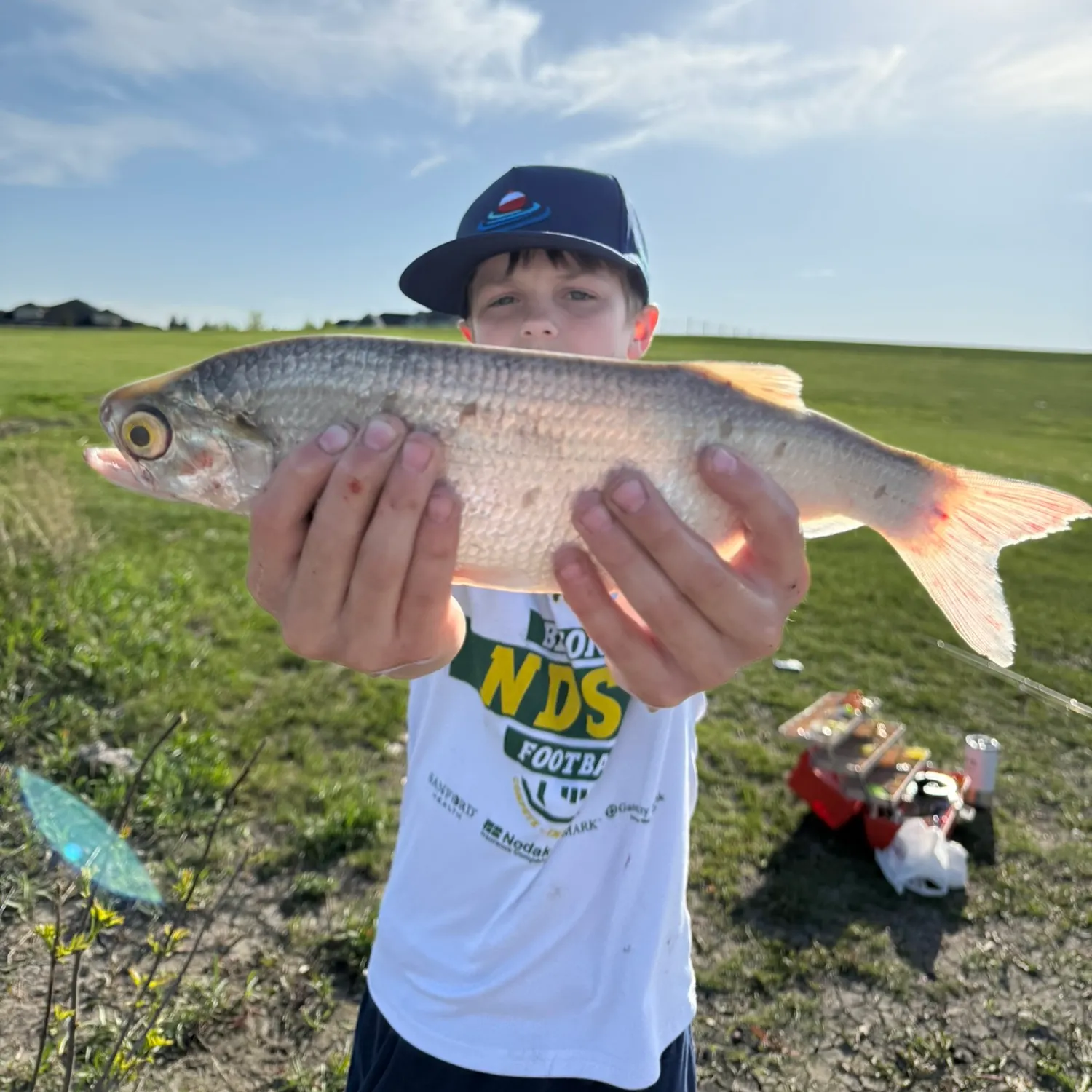 The most recent Goldeye catches on Fishbrain