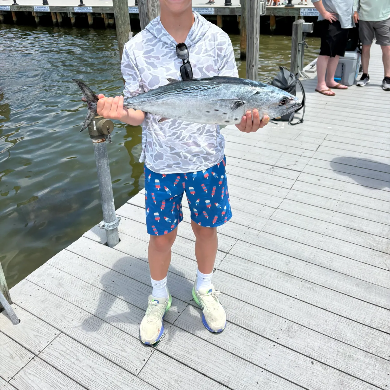 The most recent Striped bonito catches on Fishbrain