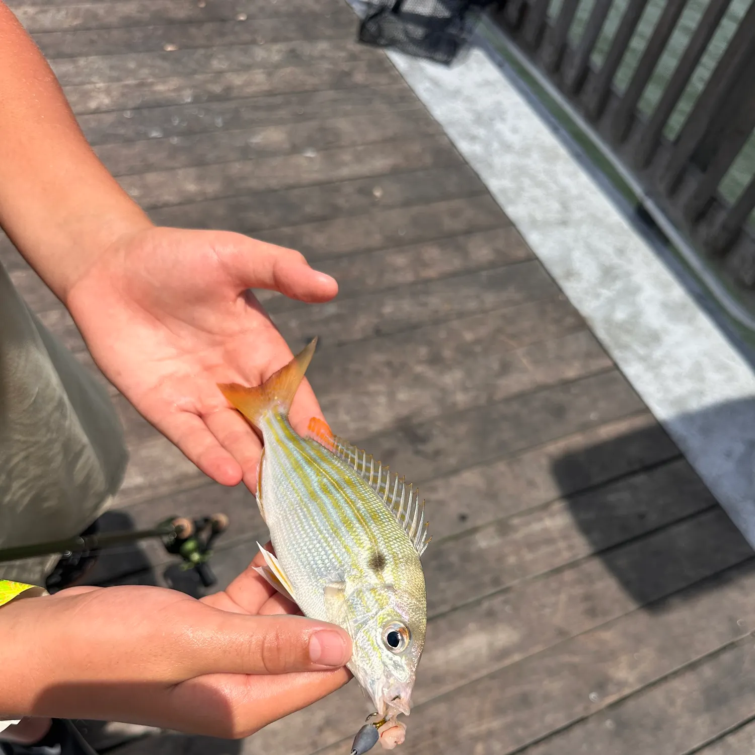 catch