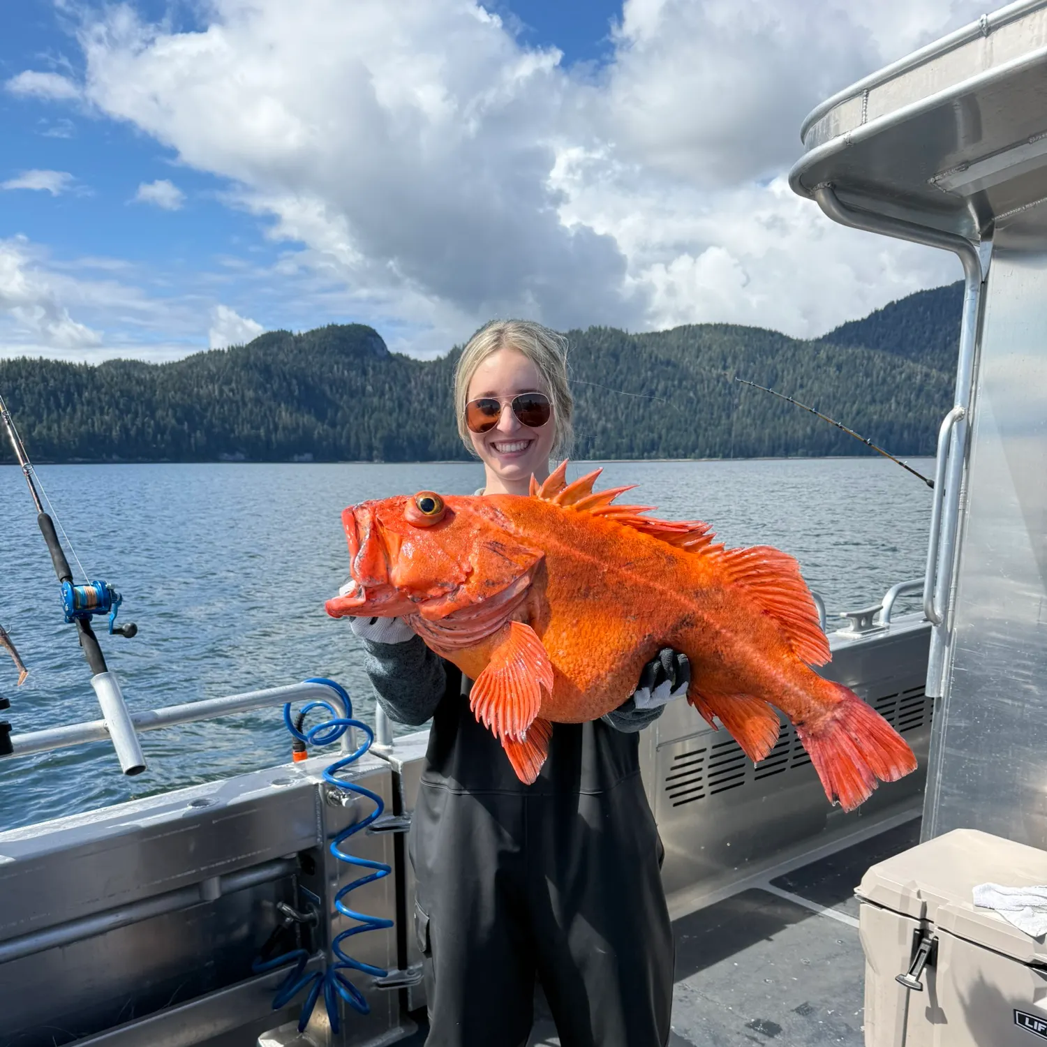 The most recent Yelloweye rockfish catches on Fishbrain