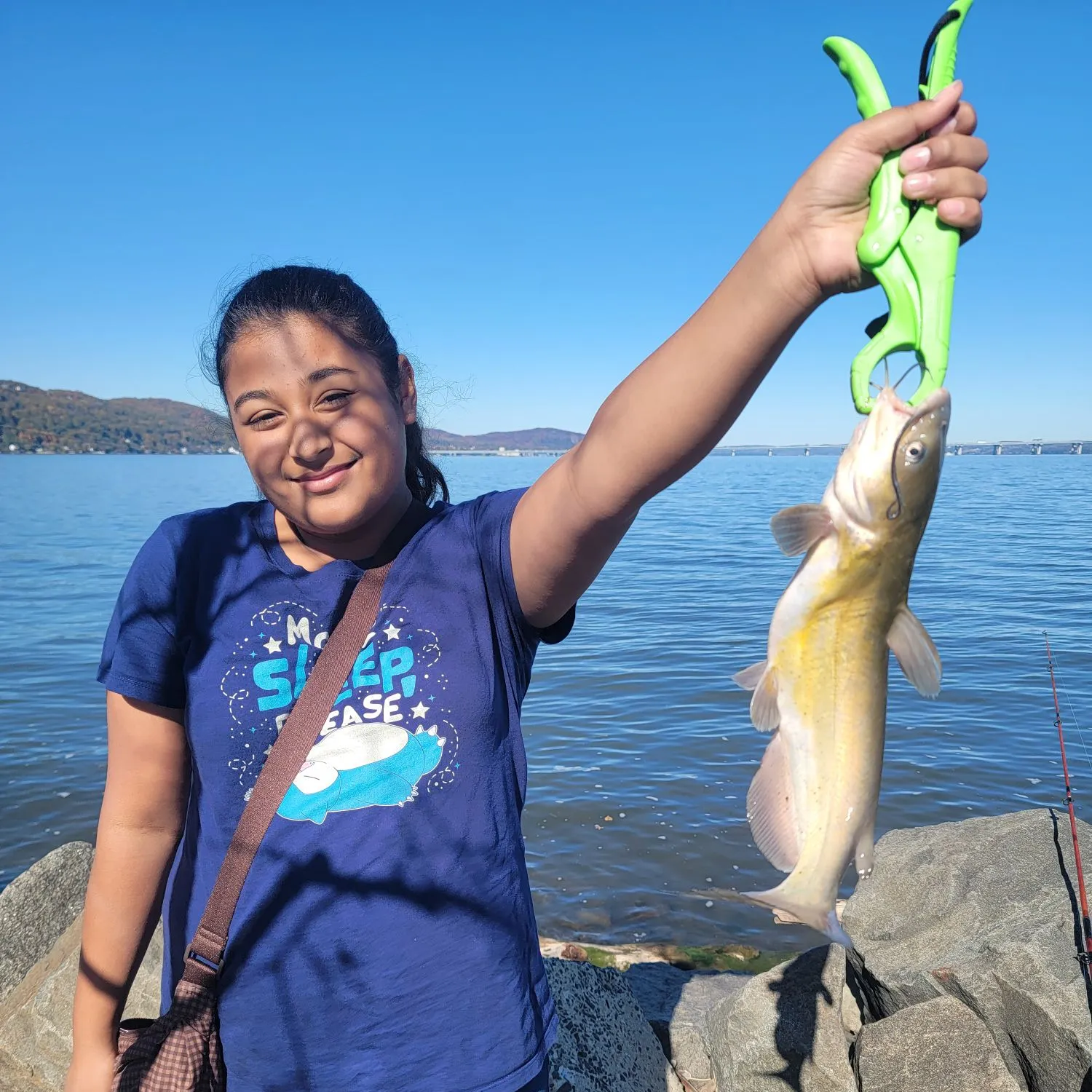 Channel catfish caught on Fishbrain