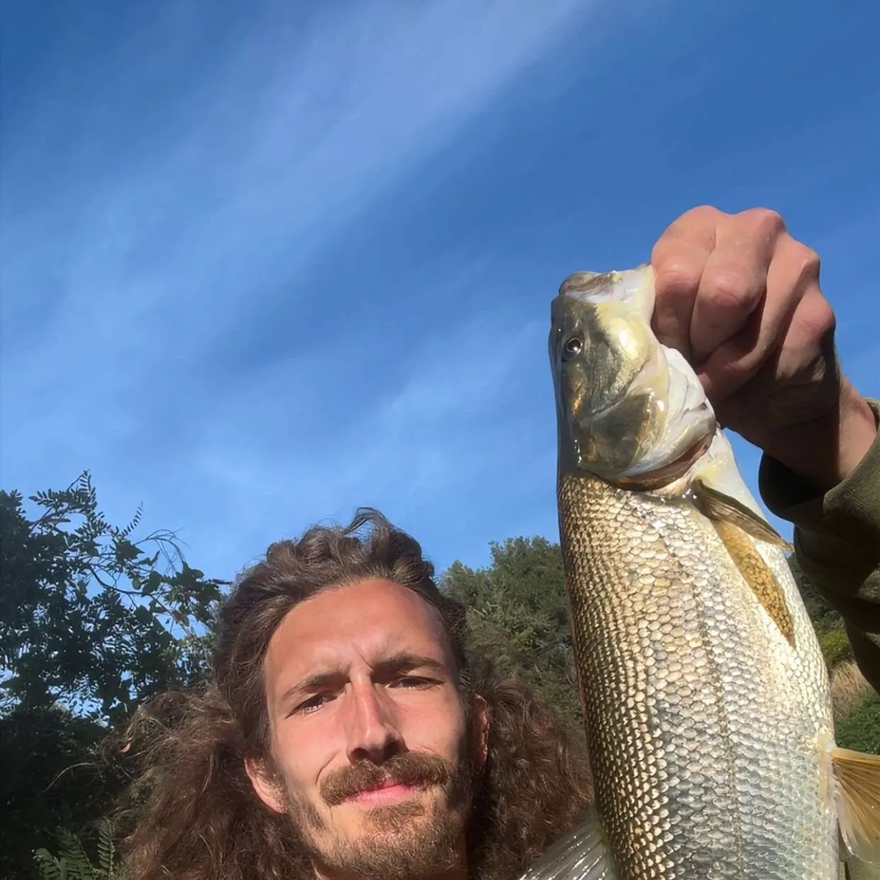 The most recent Northern pikeminnow catches on Fishbrain
