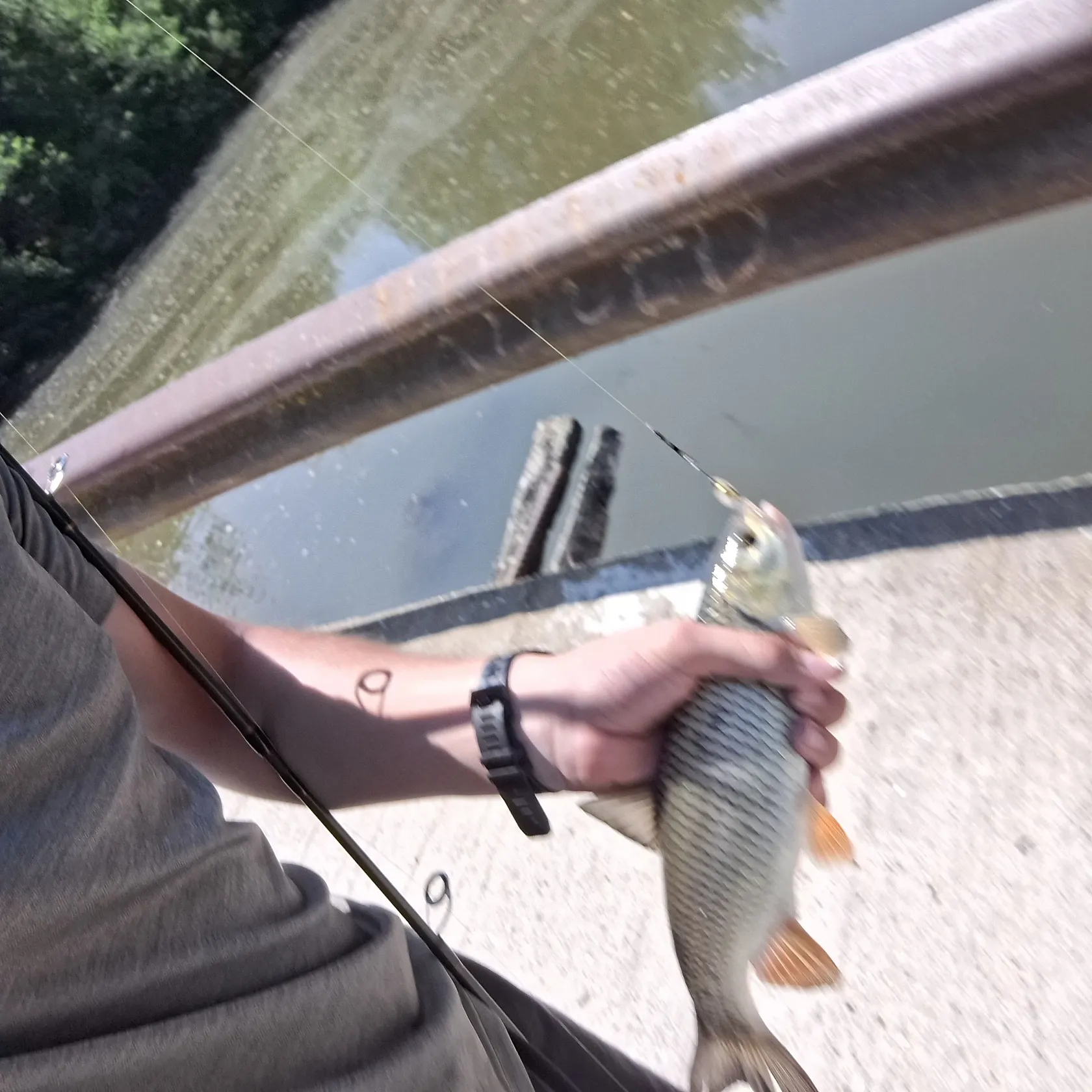 catch