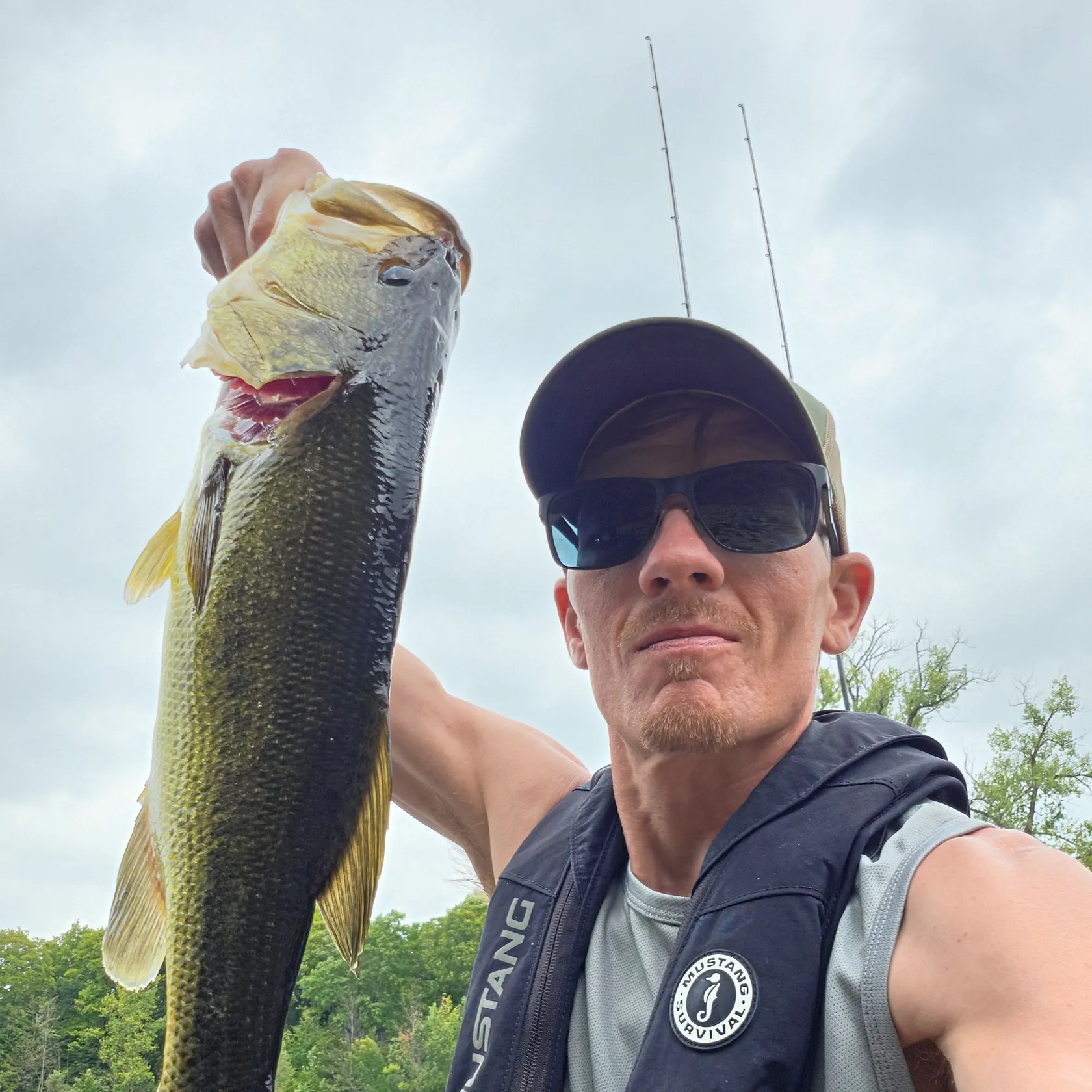 Largemouth bass caught on Fishbrain