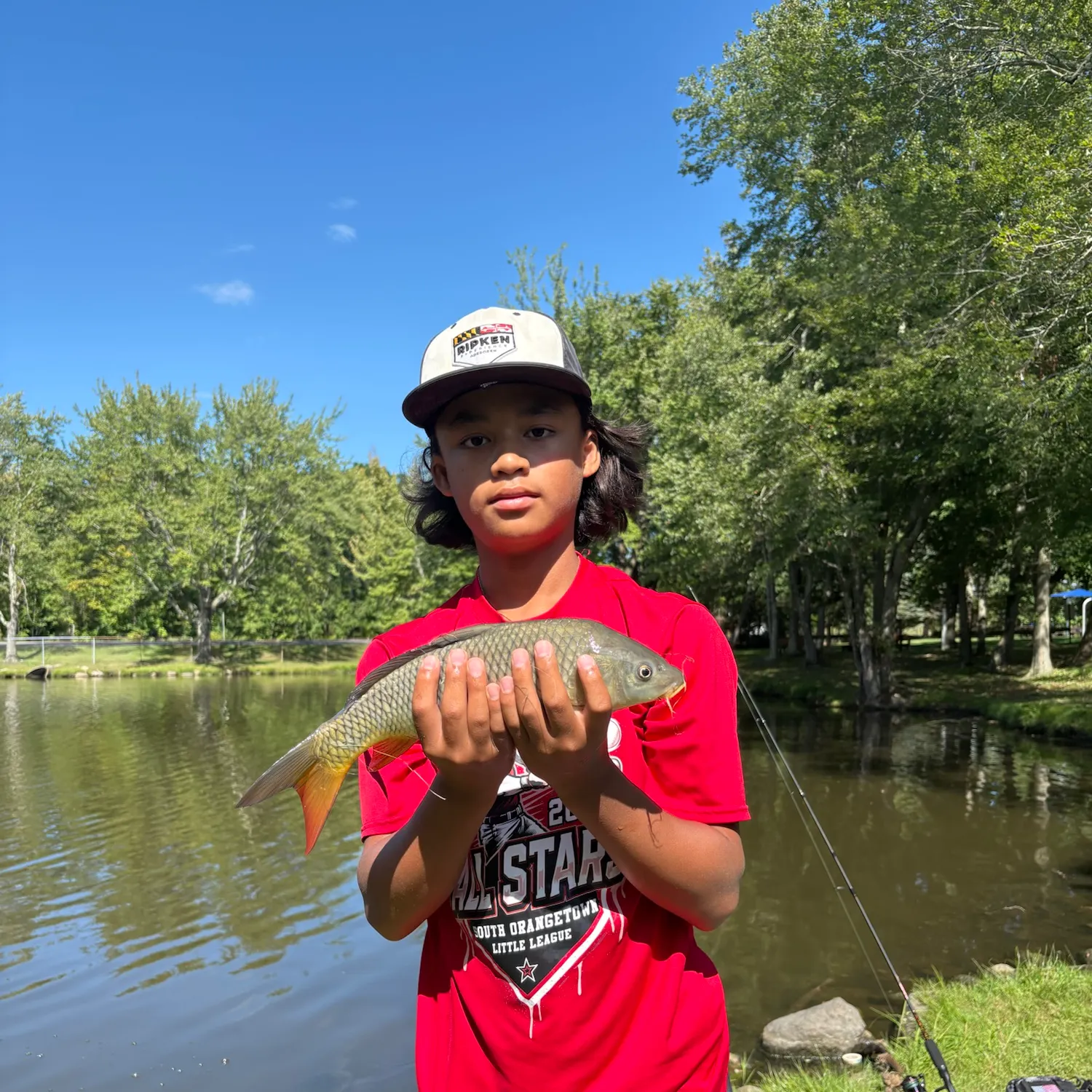 Common carp caught on Fishbrain