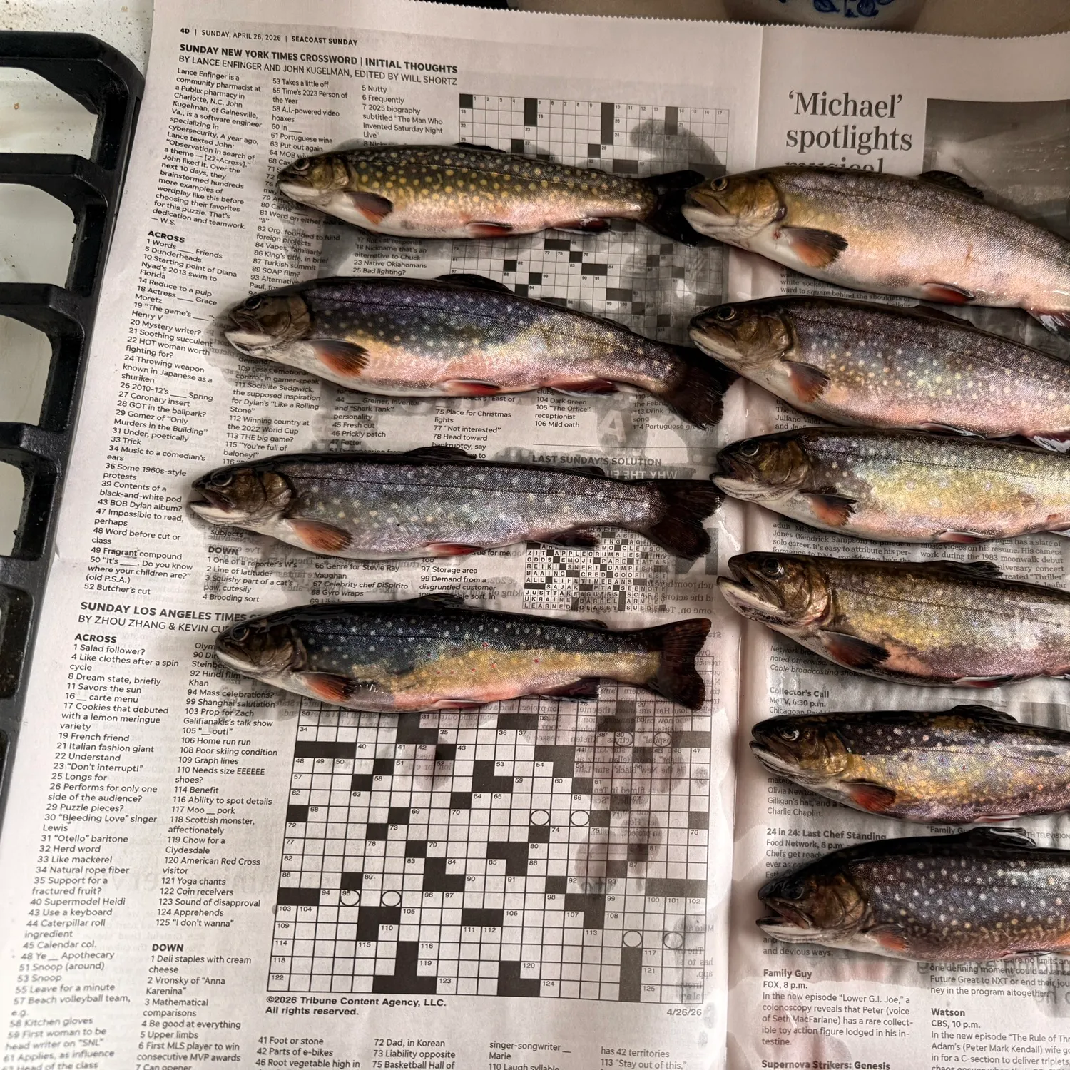 recently logged catches