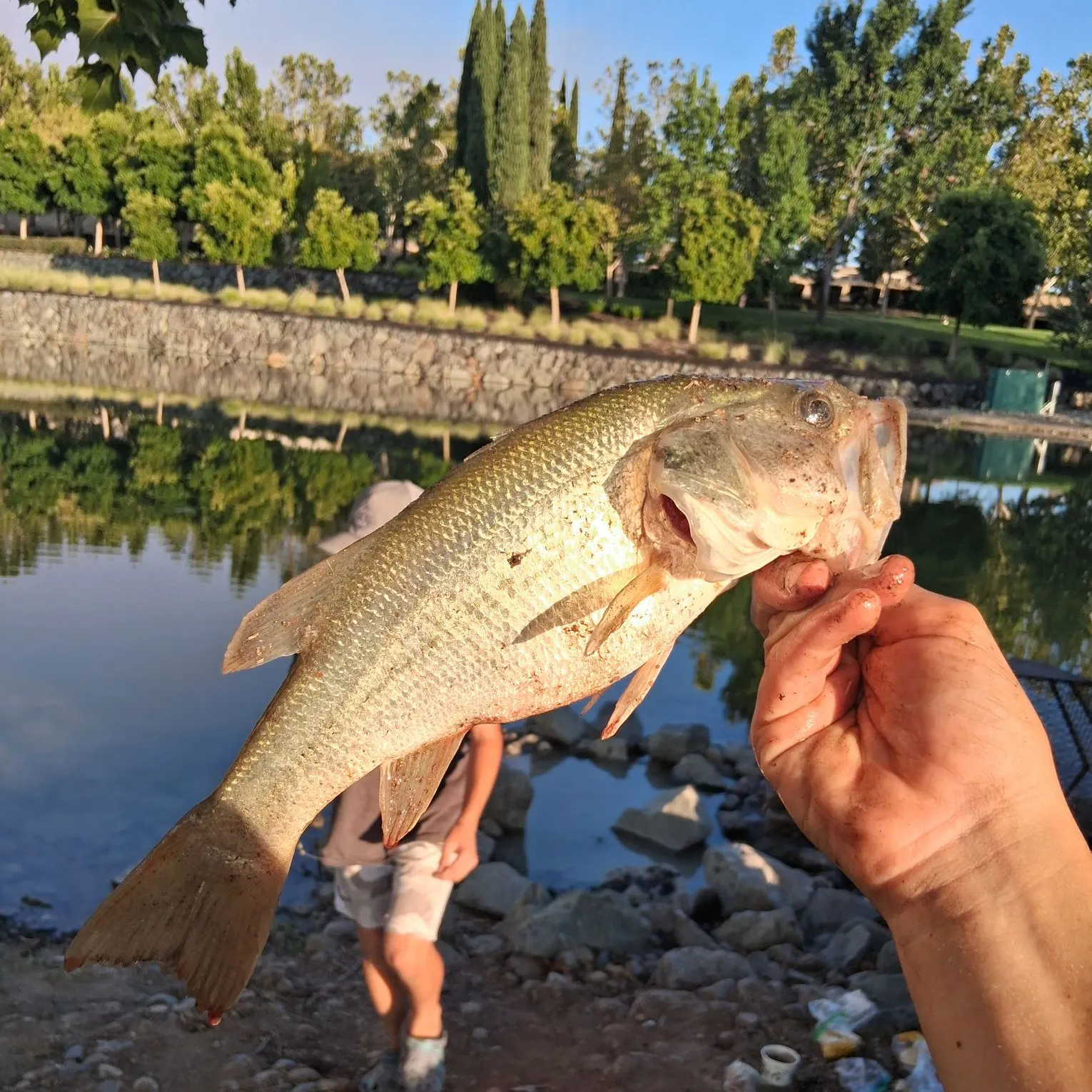 catch