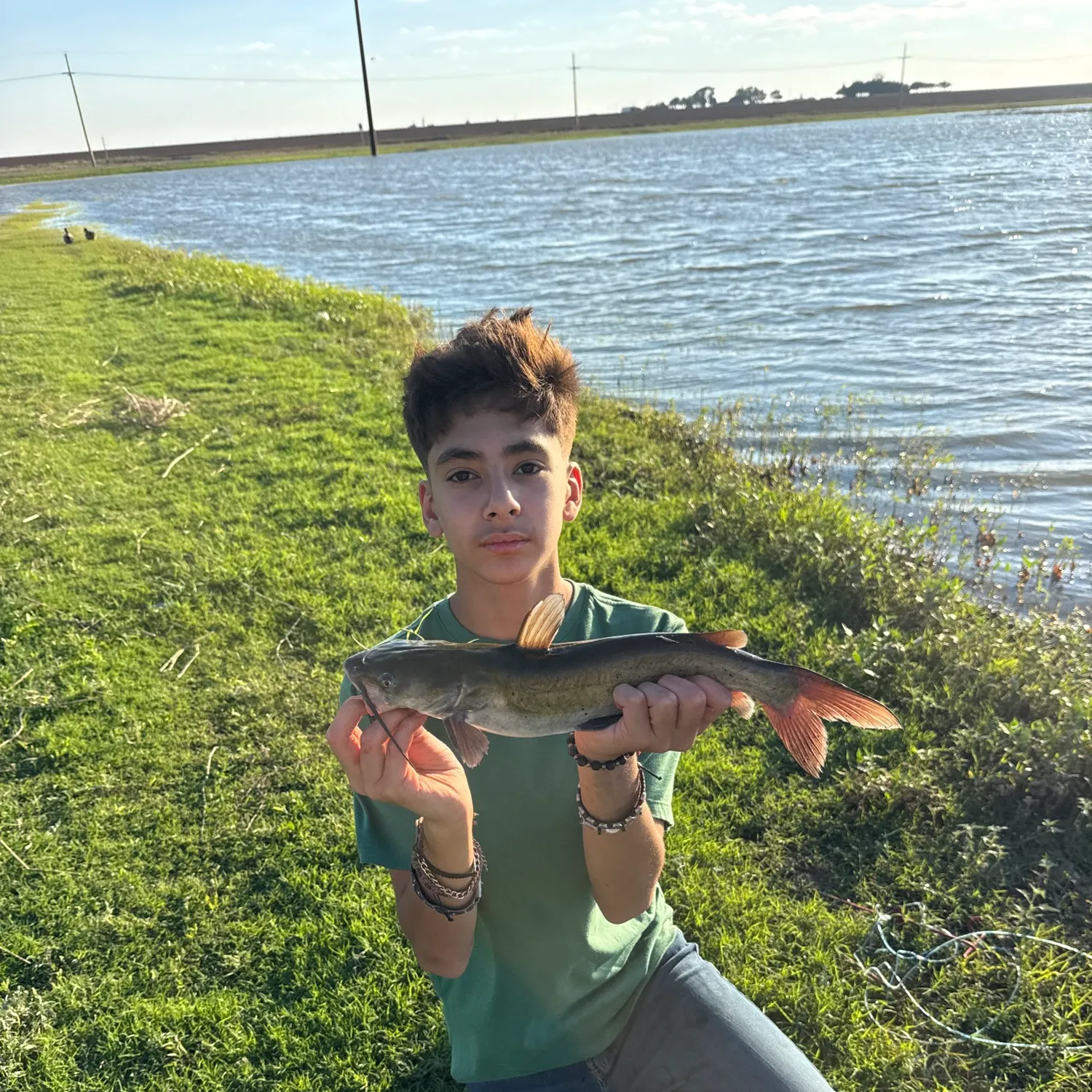 Channel catfish caught on Fishbrain