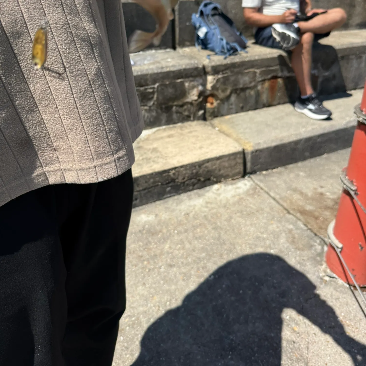 The most recent Pouting catches on Fishbrain